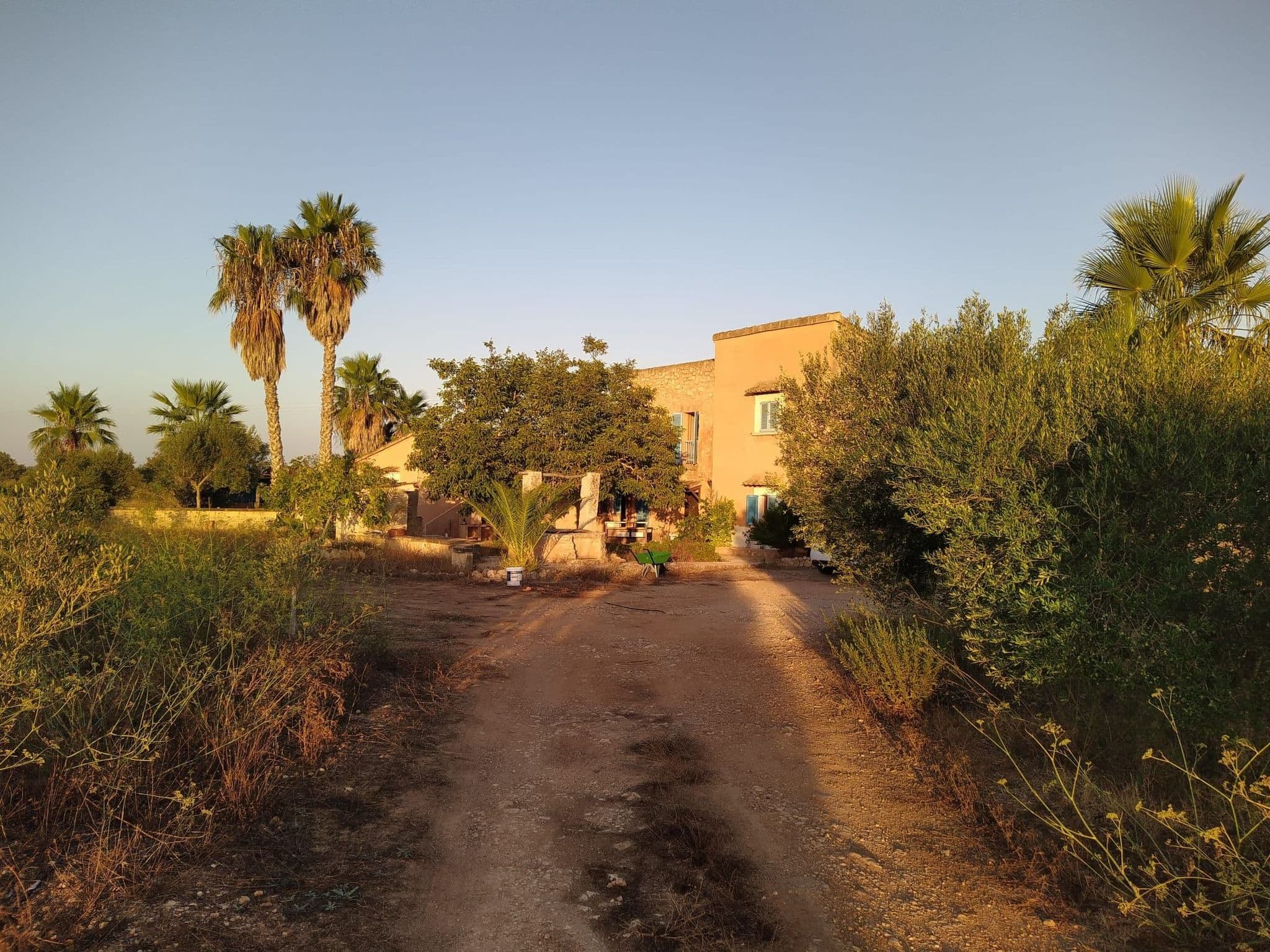 Gallery Image 22