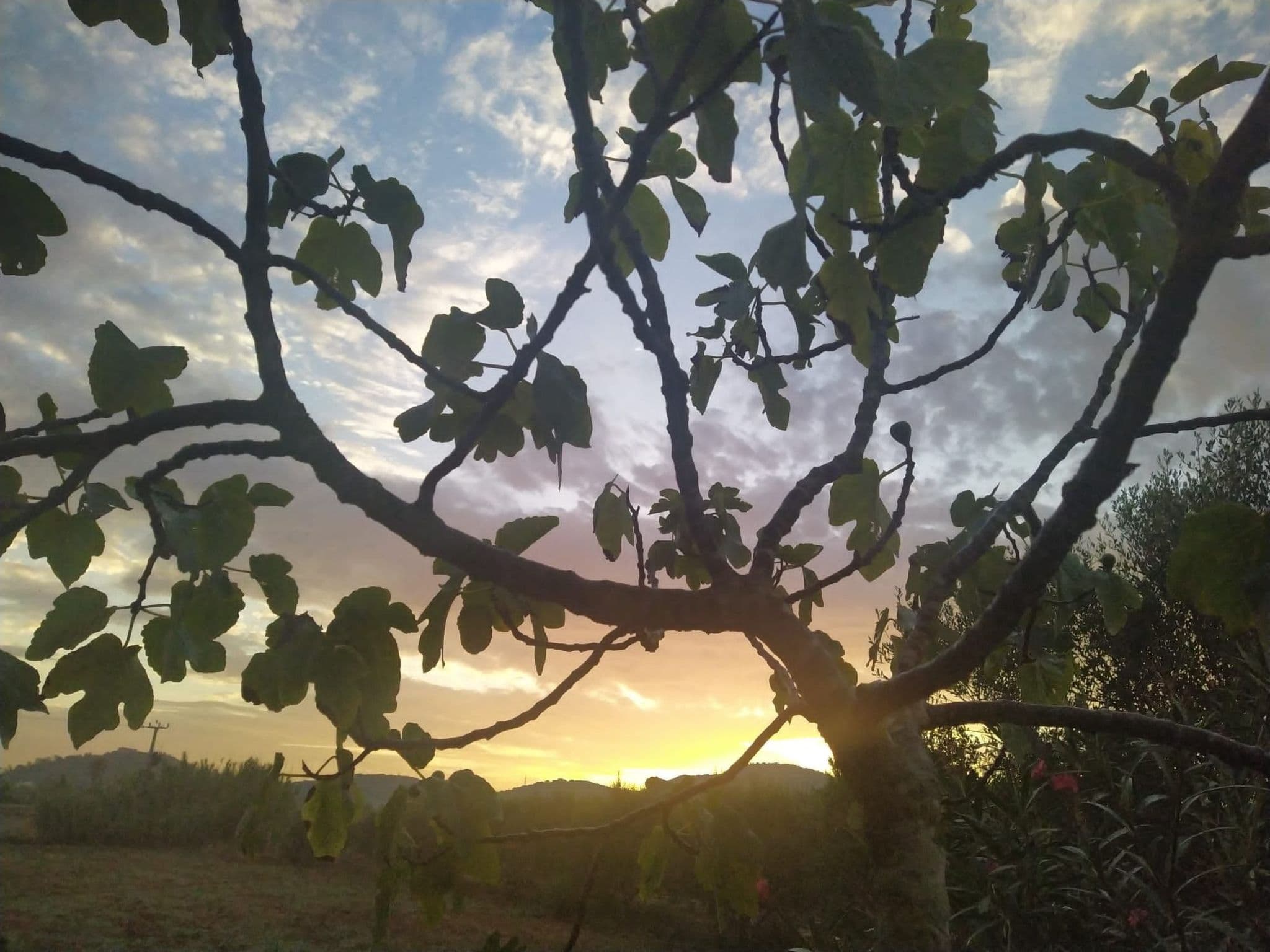 Gallery Image 28