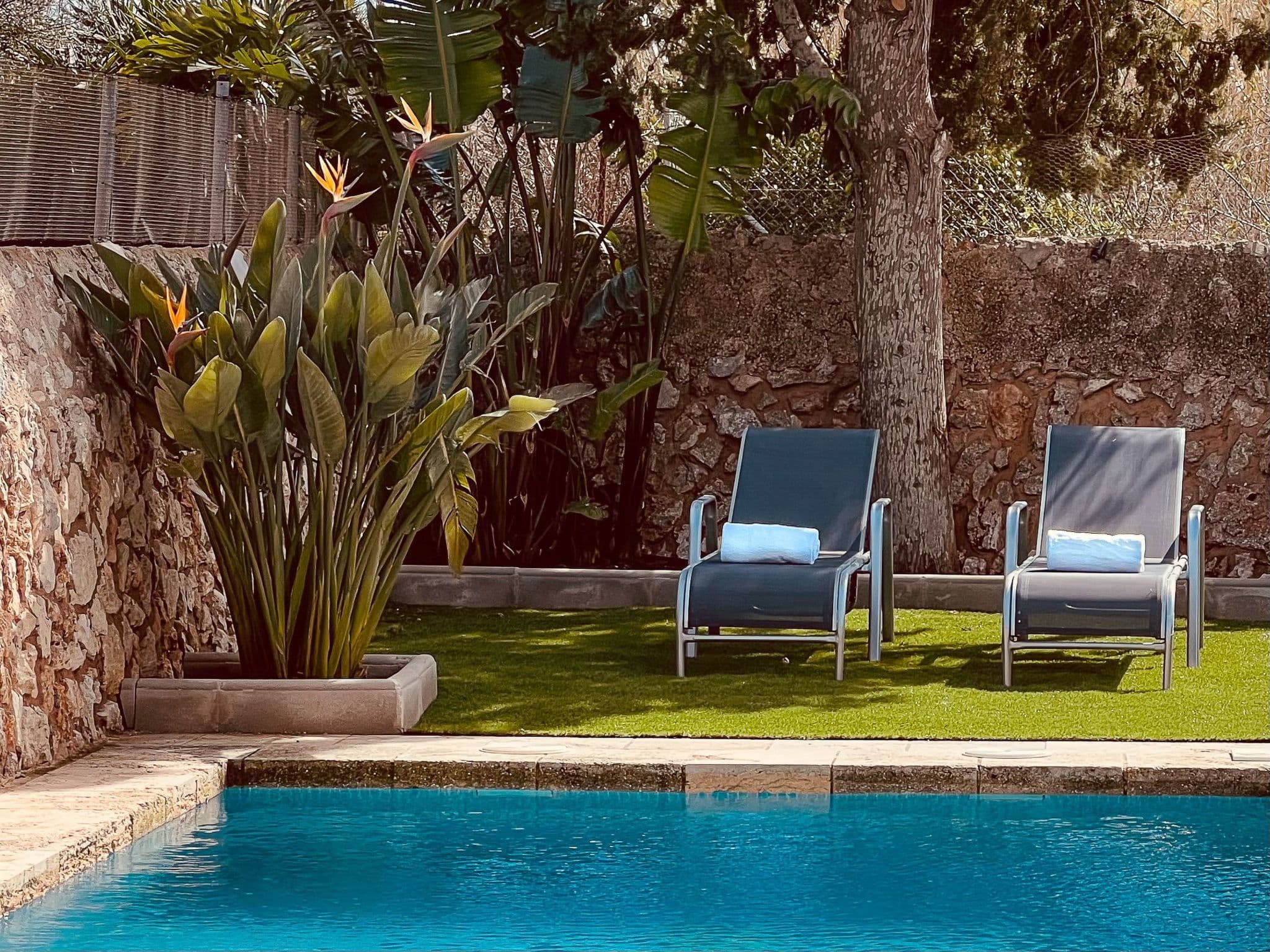 Pool Outdoor