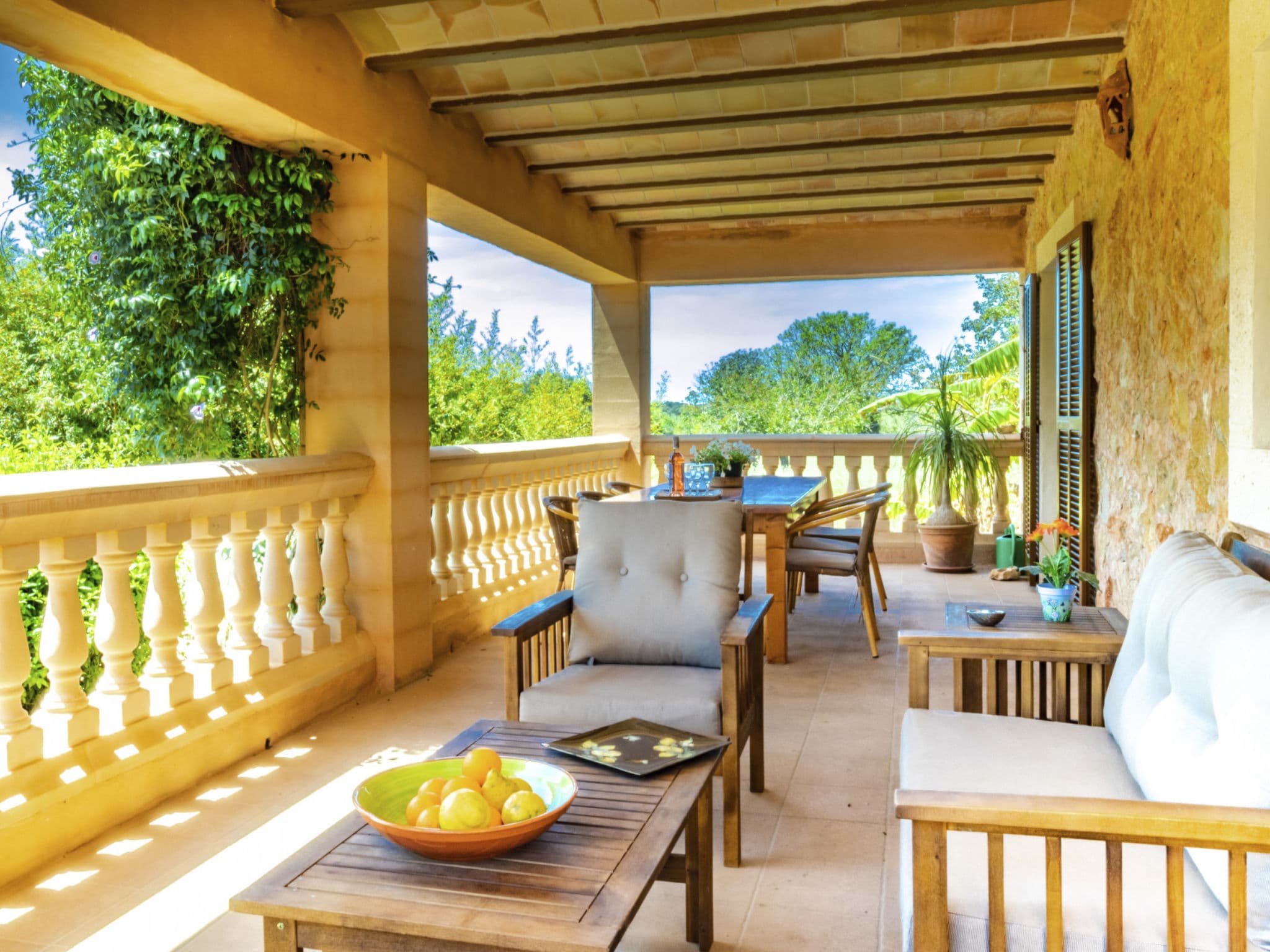 Terrace