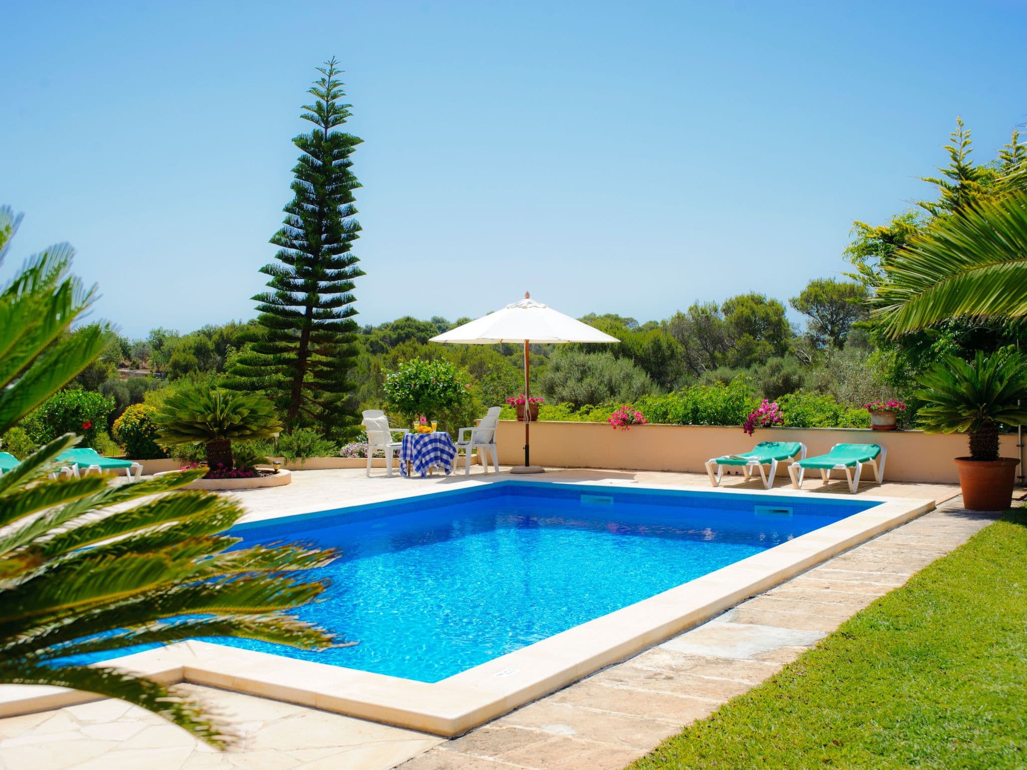 Pool Outdoor