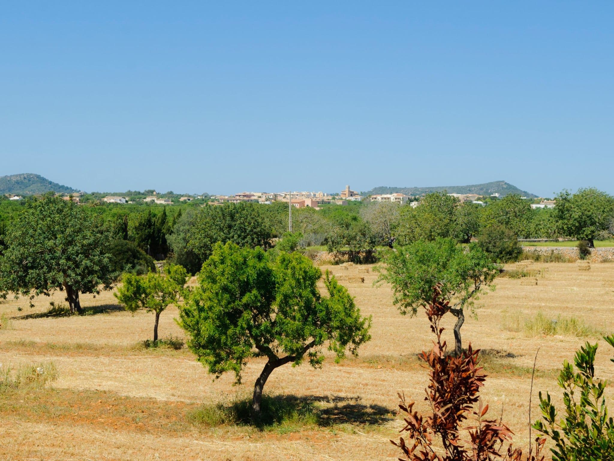 View