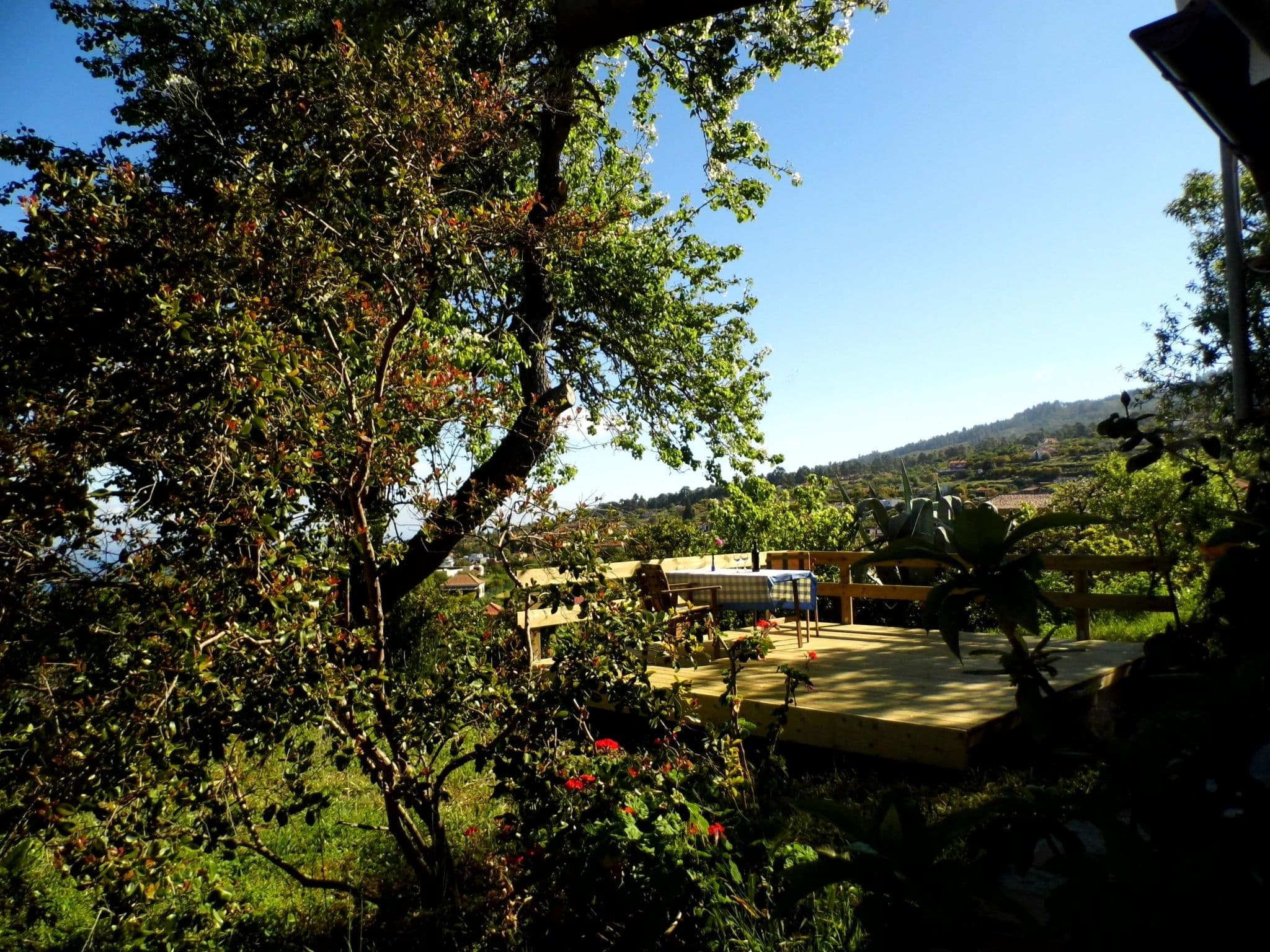 Gallery Image 20