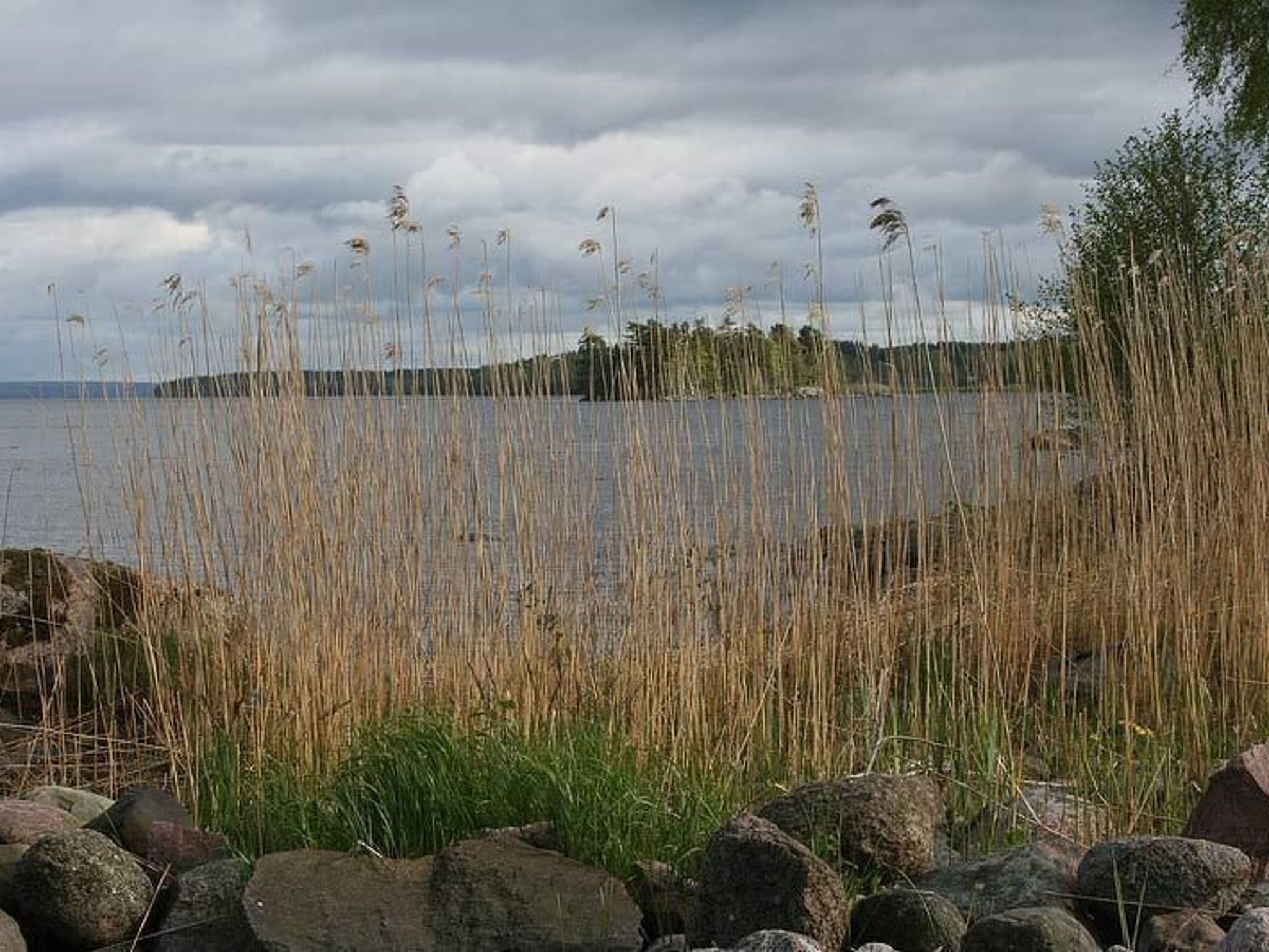 Gallery Image 15