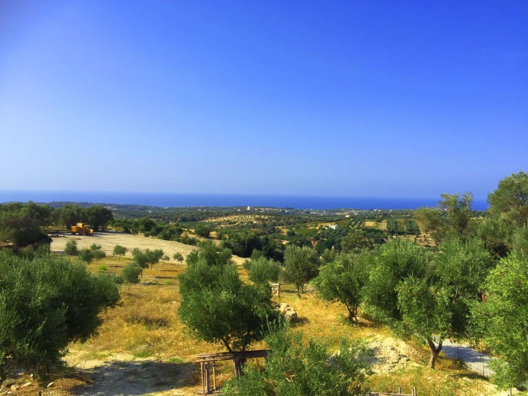 Gallery Image 20
