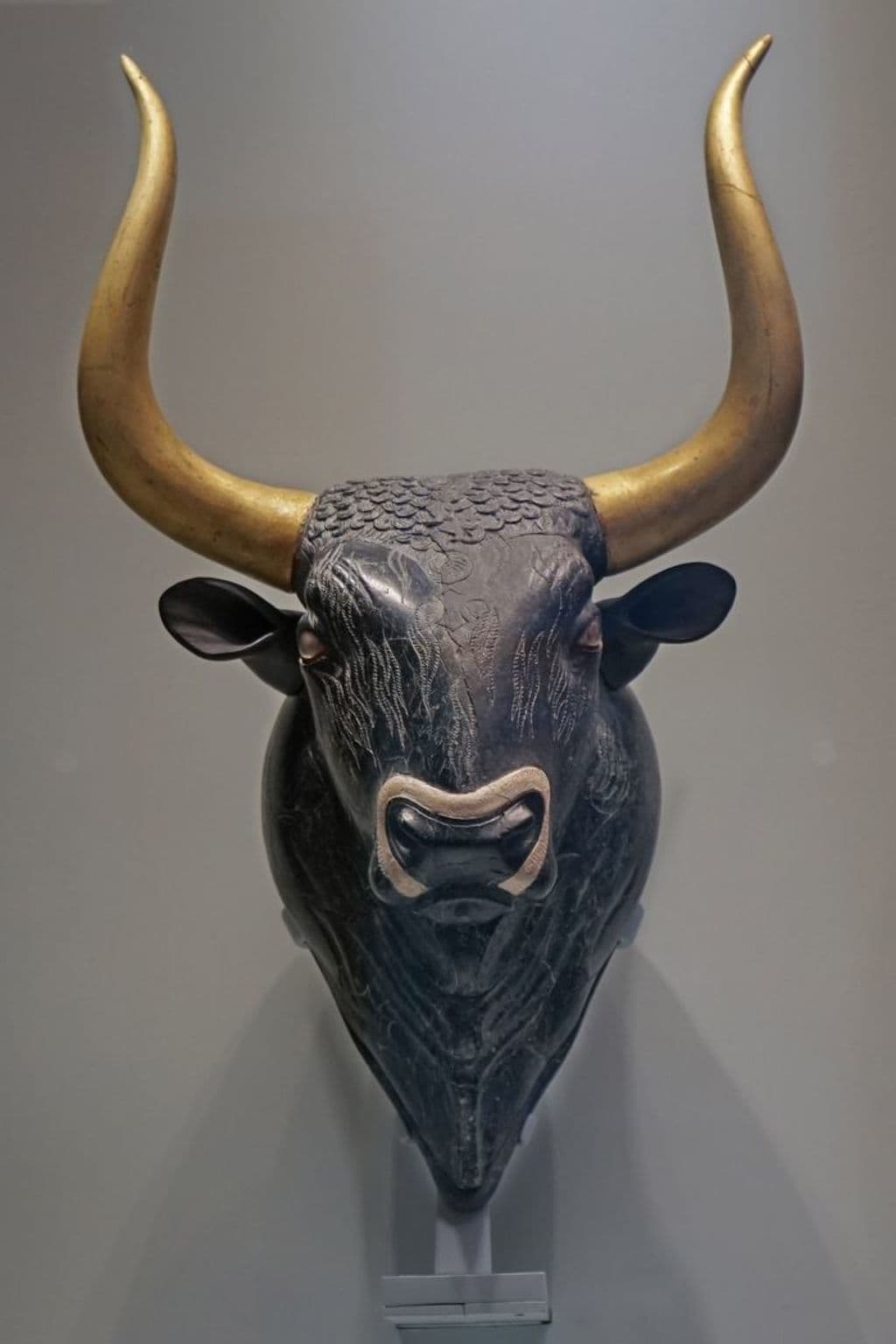 Gallery Image 41
