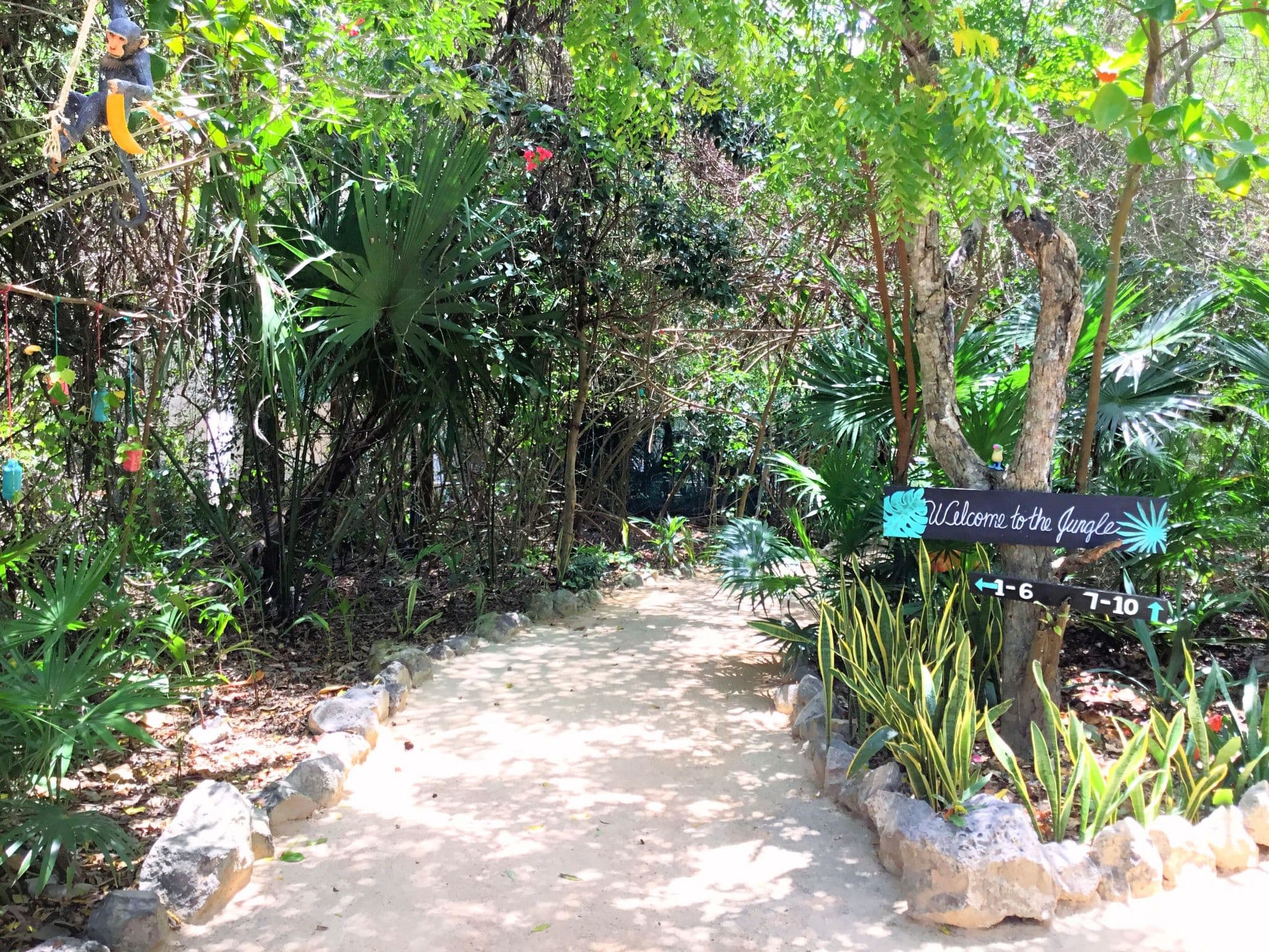 Gallery Image 10