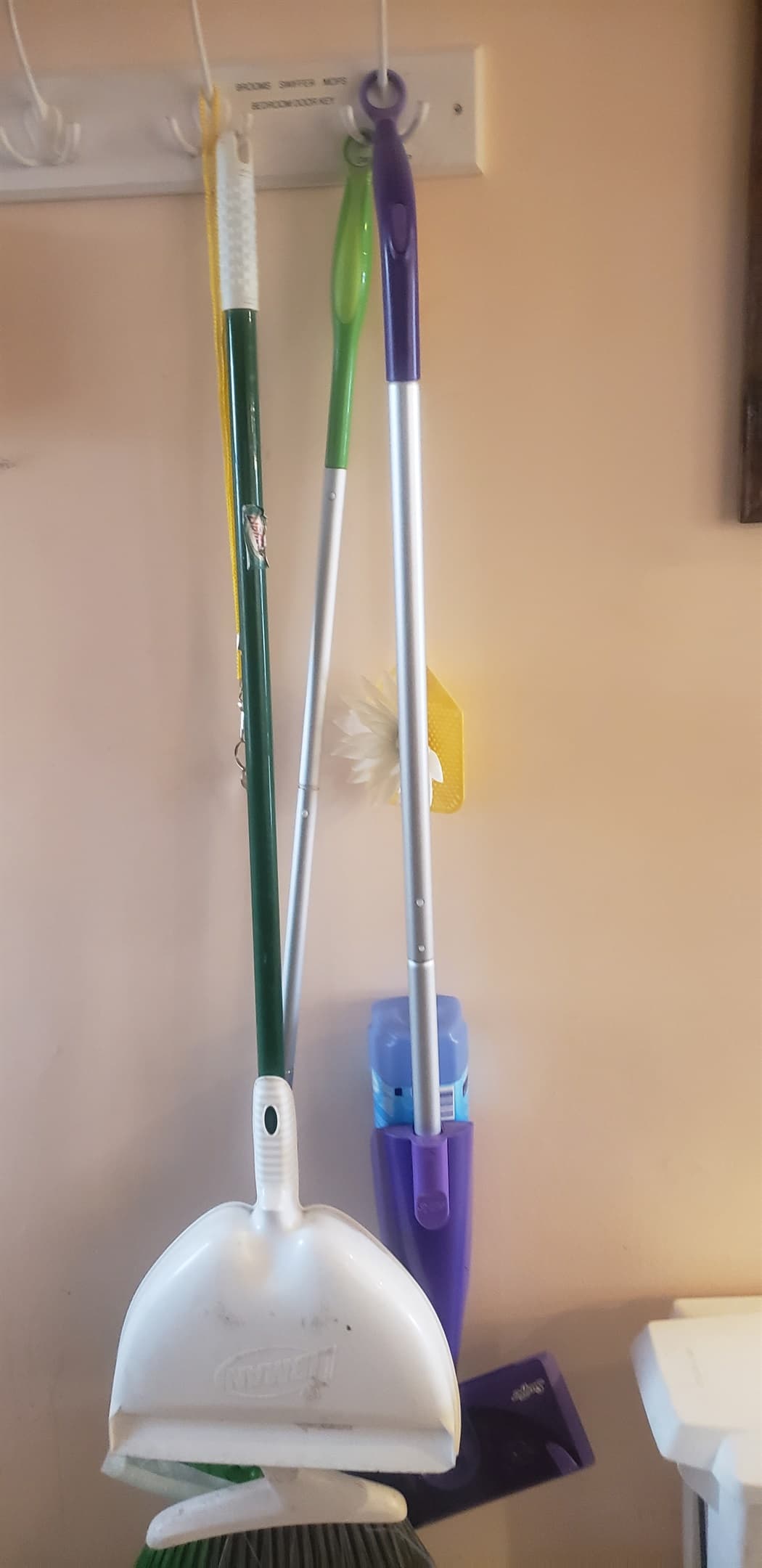 All cleaning supplies supplied in case of accidents or messes
