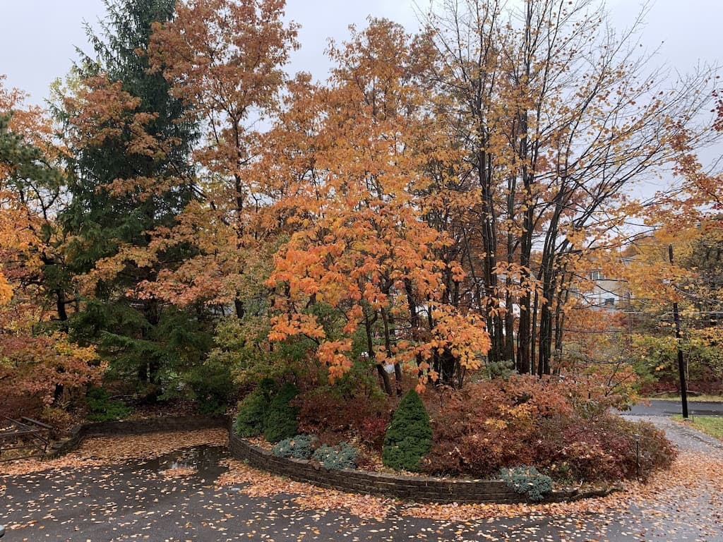 Gallery Image 69