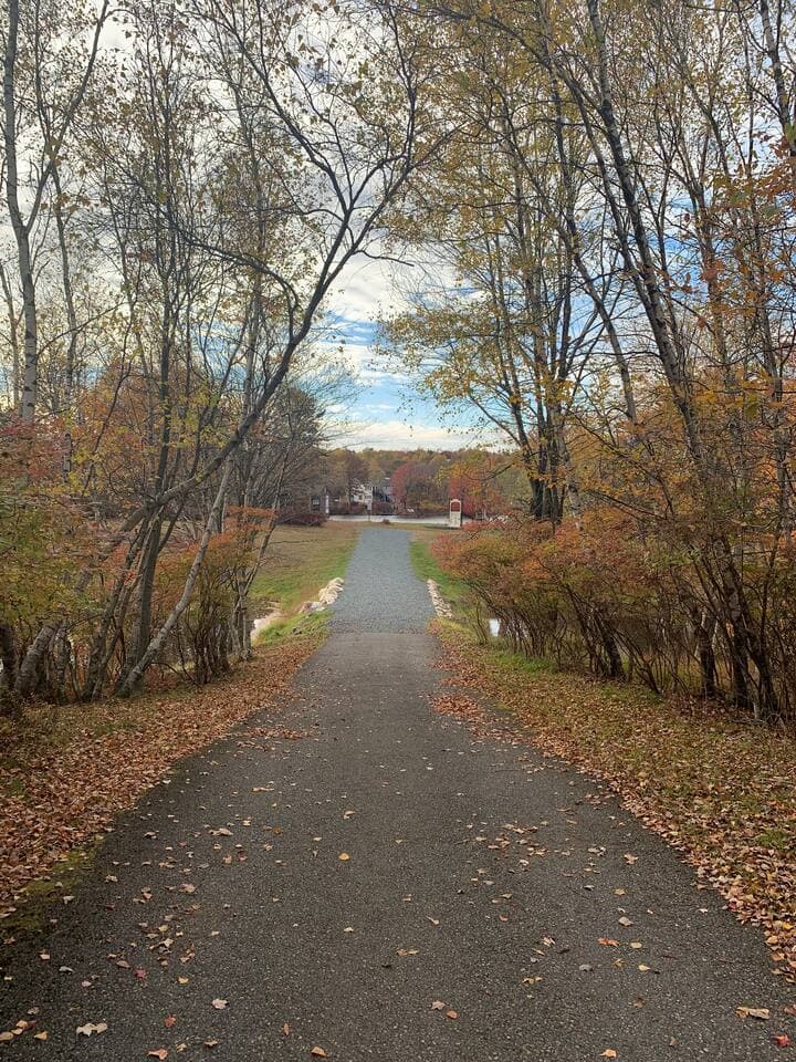 pathway to the community beach 