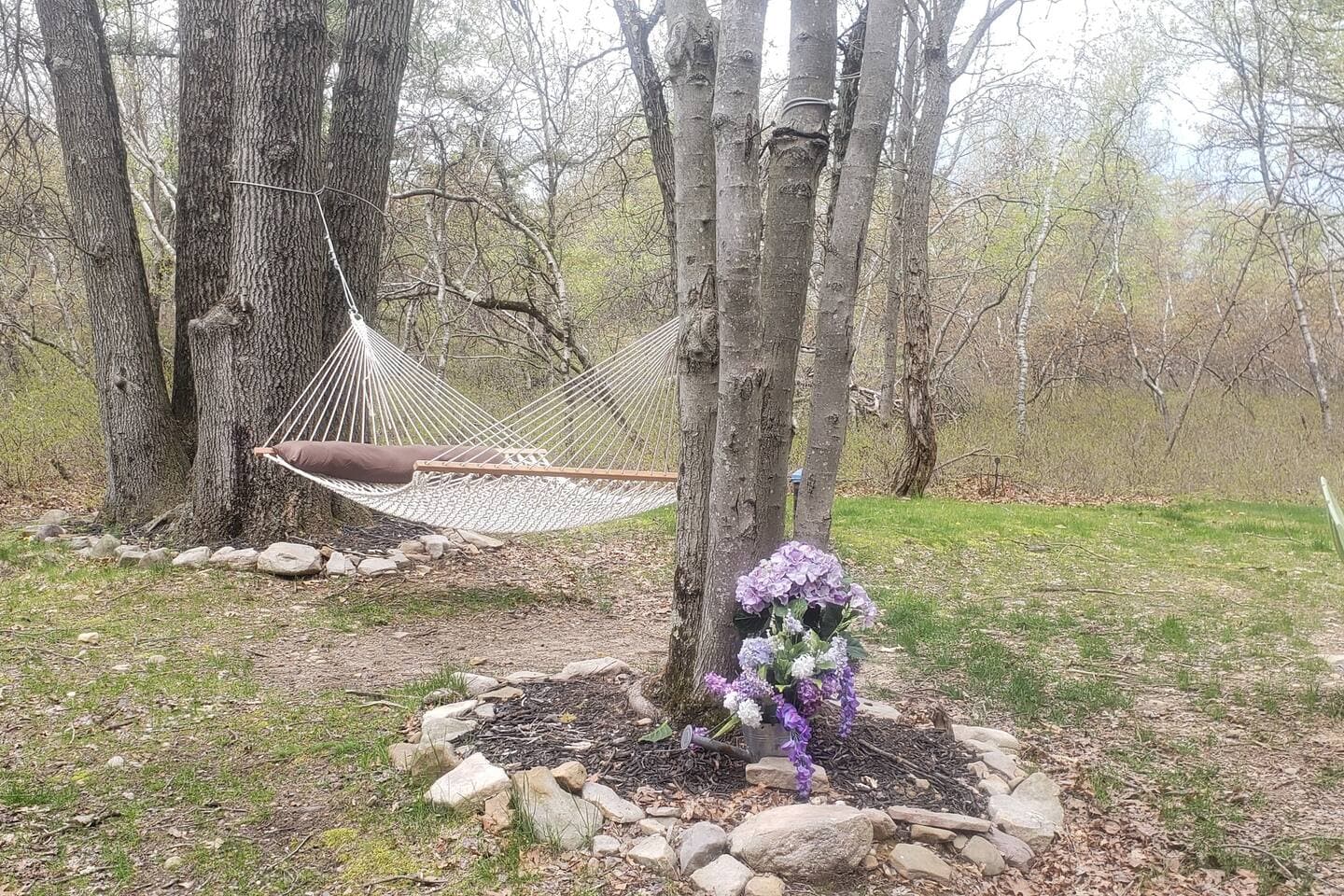 Gallery Image 58