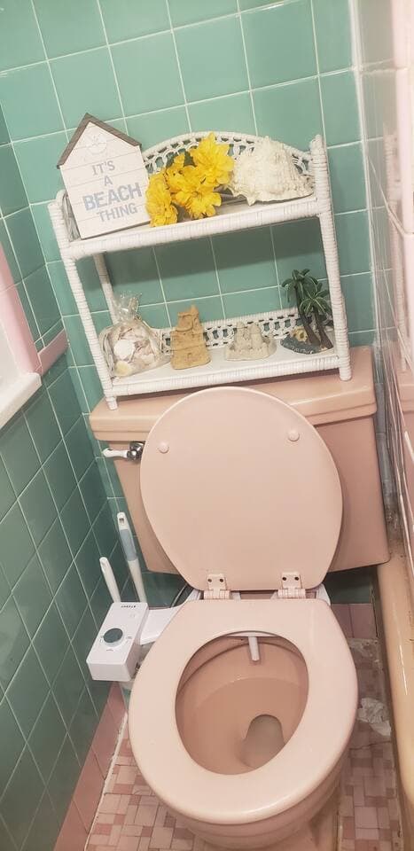 How many homes can boast they have a bidet?? This one is perfect for those that require one and for Sanitary reasons you must bring own bum towel! x.x