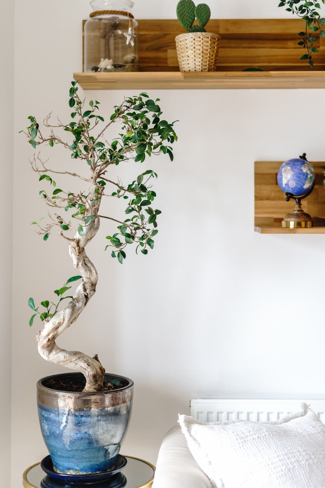 Gallery Image 13