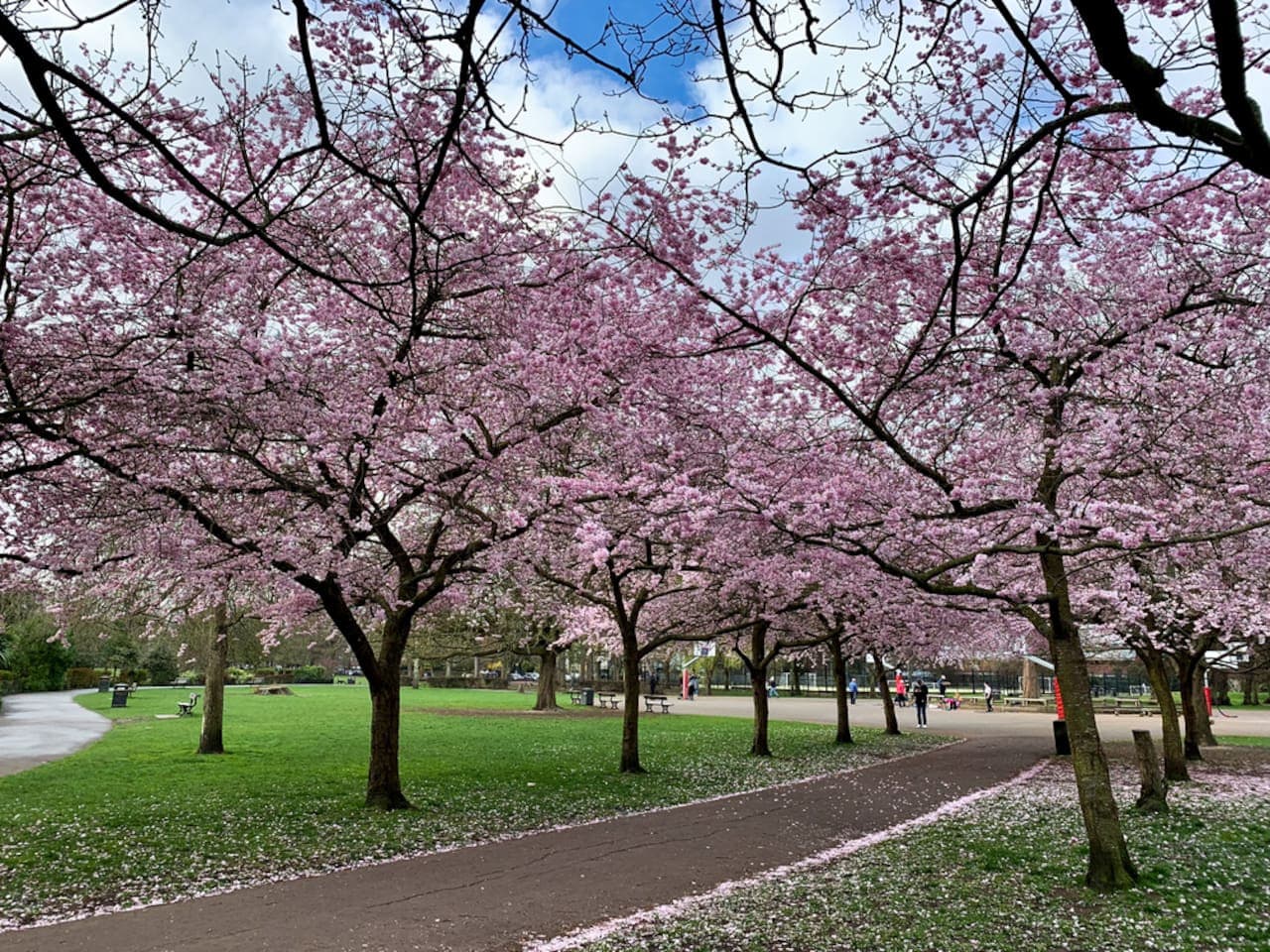 Ravenscourt Park is a beautiful green space nearby providing a relaxing and scenic outdoor escape.