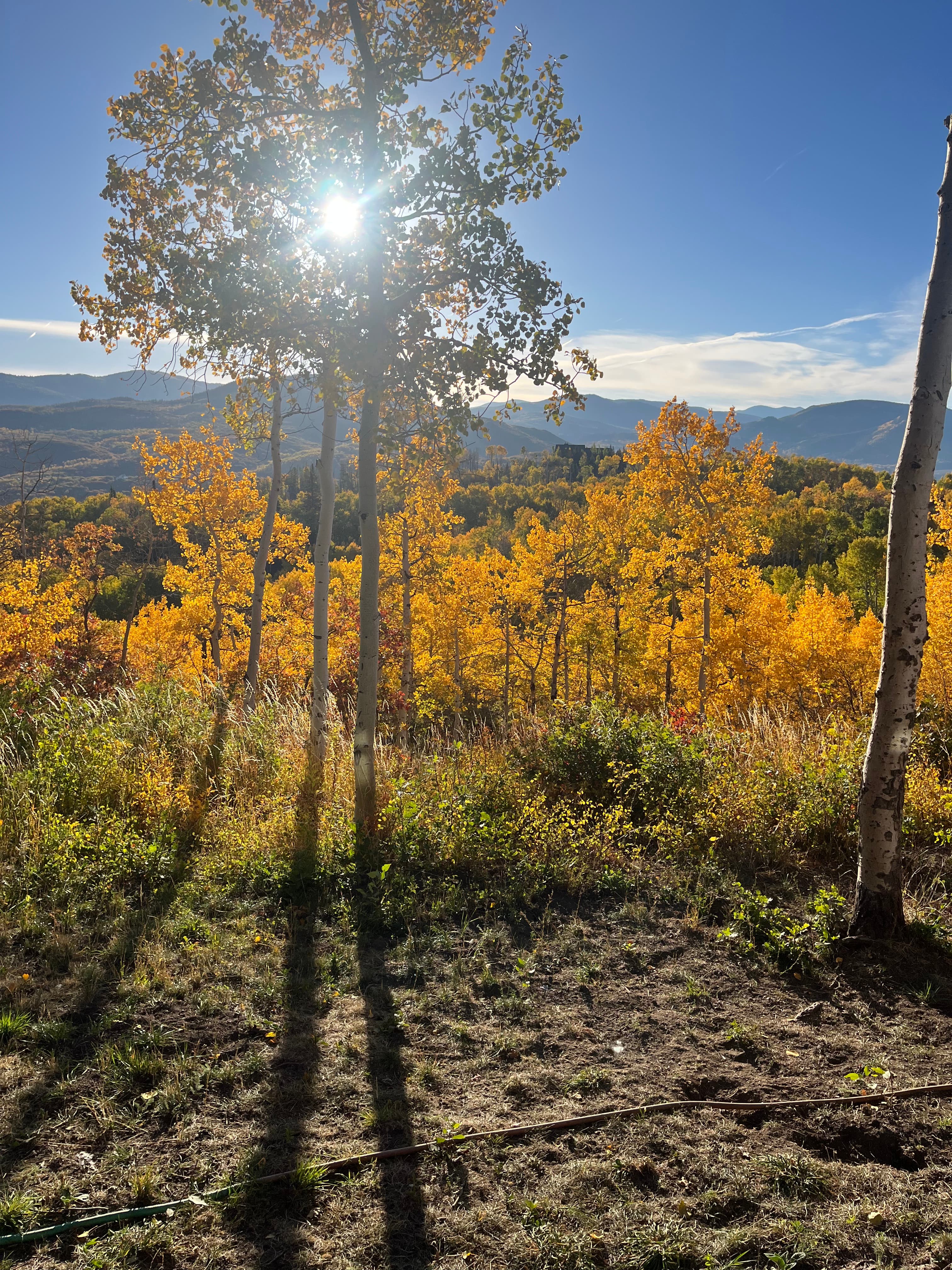 Fall On The Property