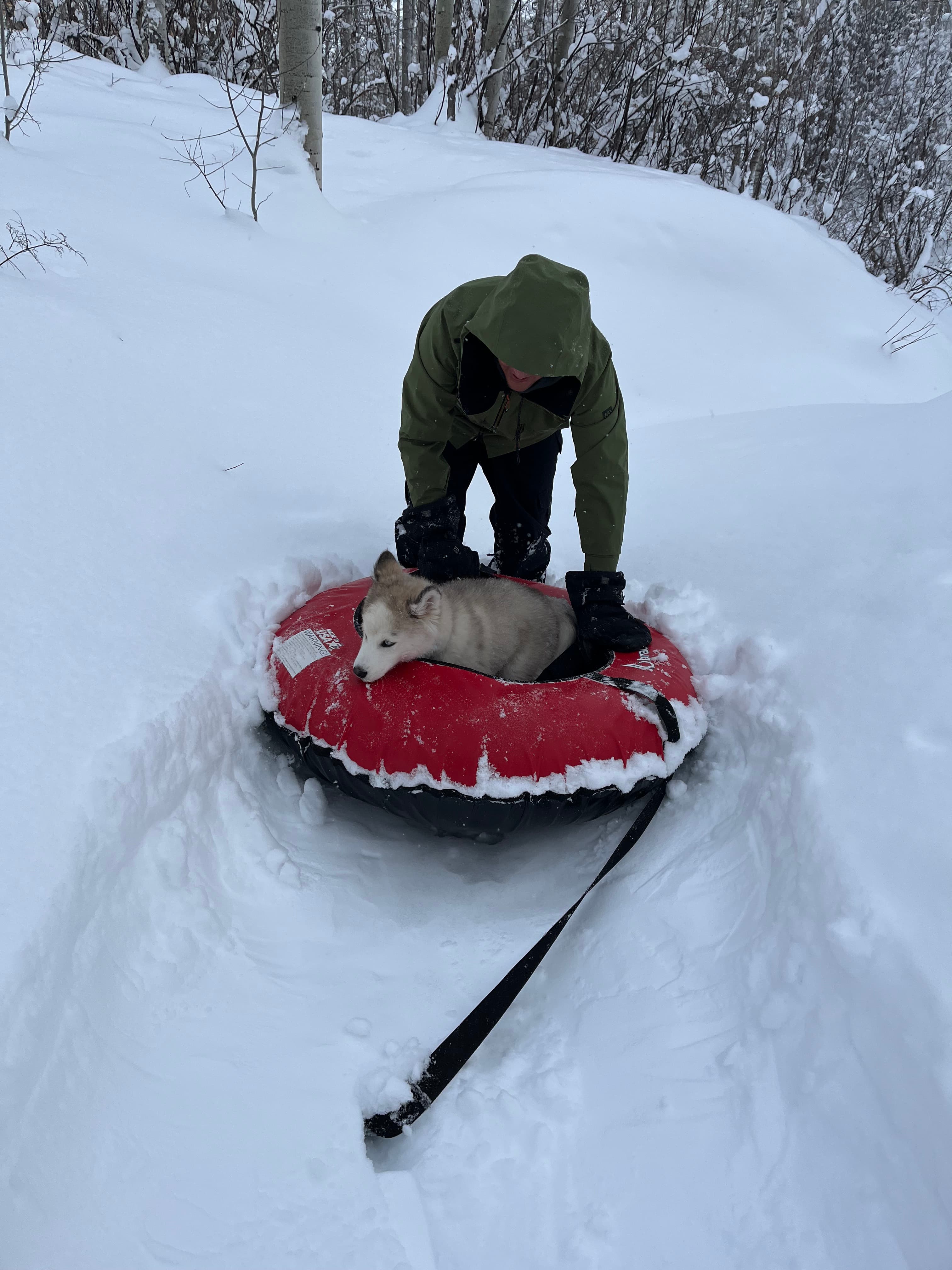 Sledding