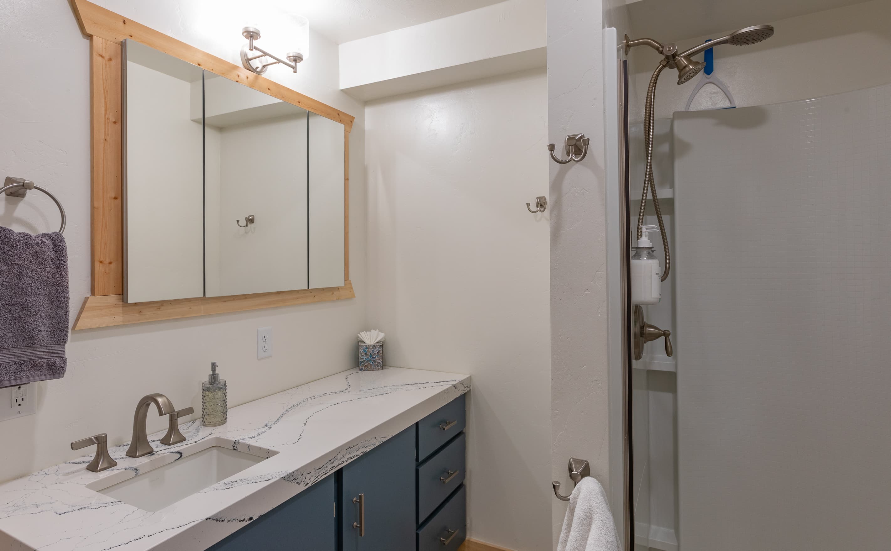 Full bathroom with walk-in shower (downstairs)