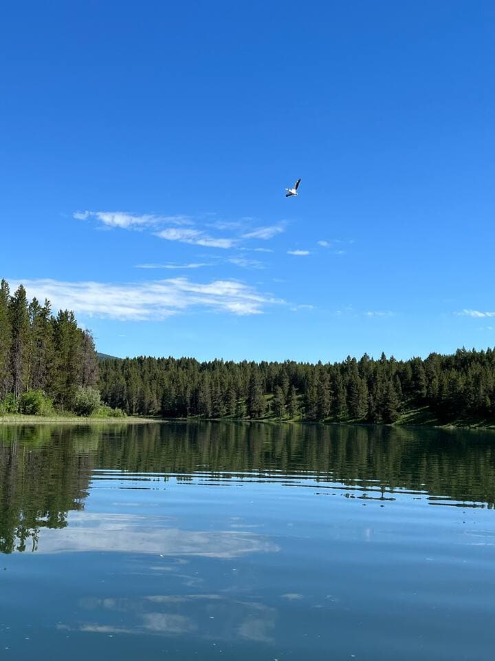 Take the kayaks or paddle board down the river