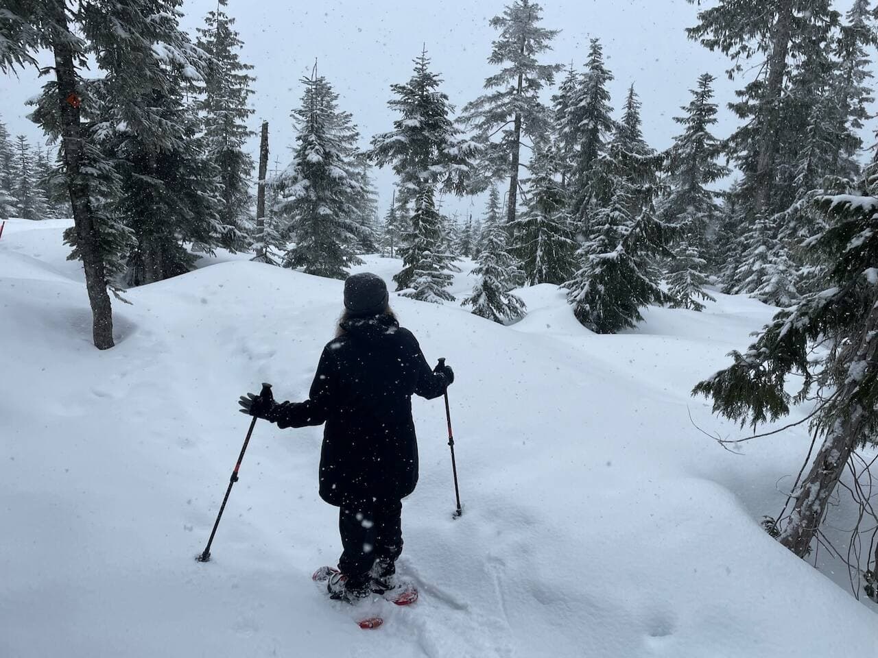 Dakota Ridge Ski and Snow Shoe