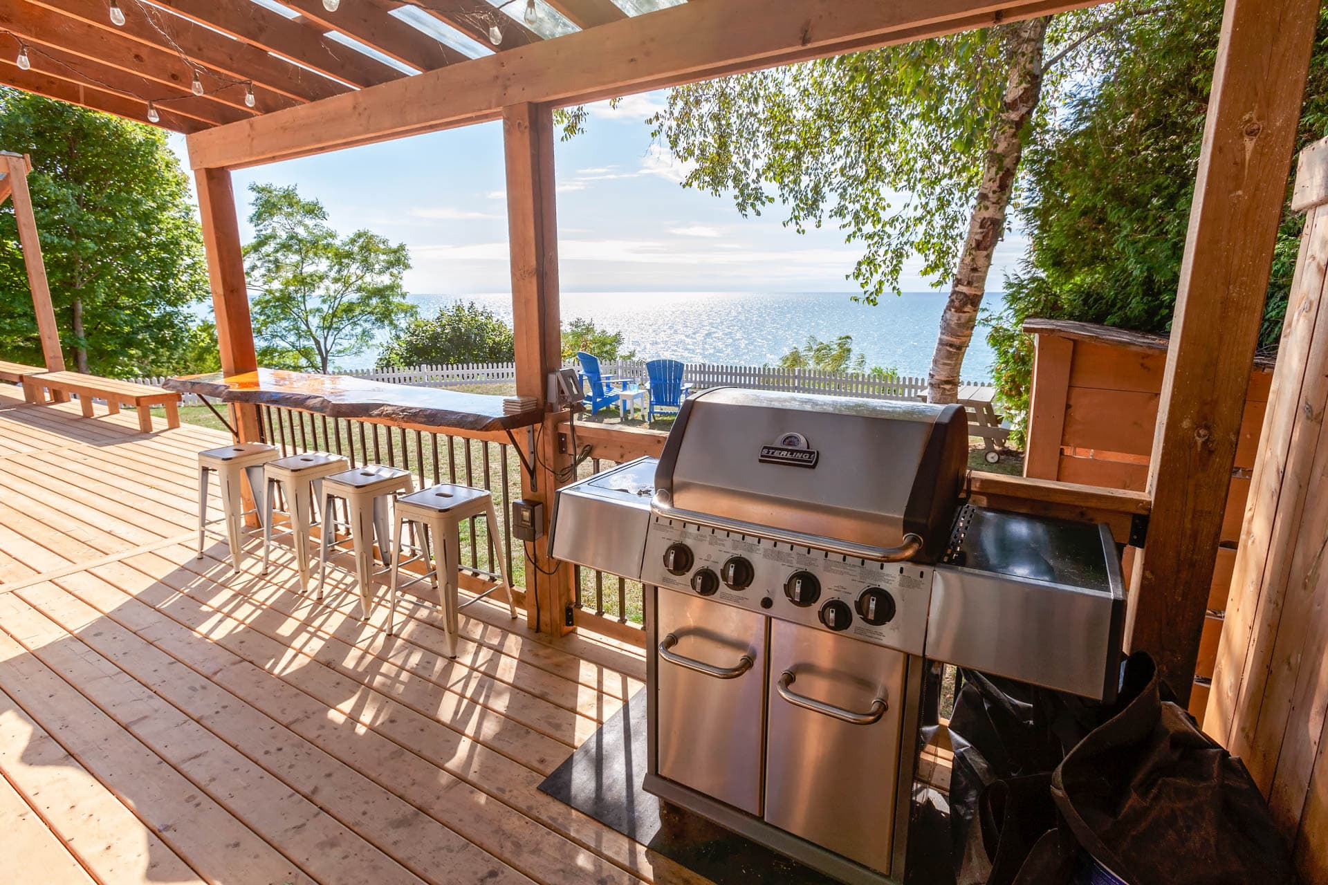 BBQ with live edge bar overlooking the lake
