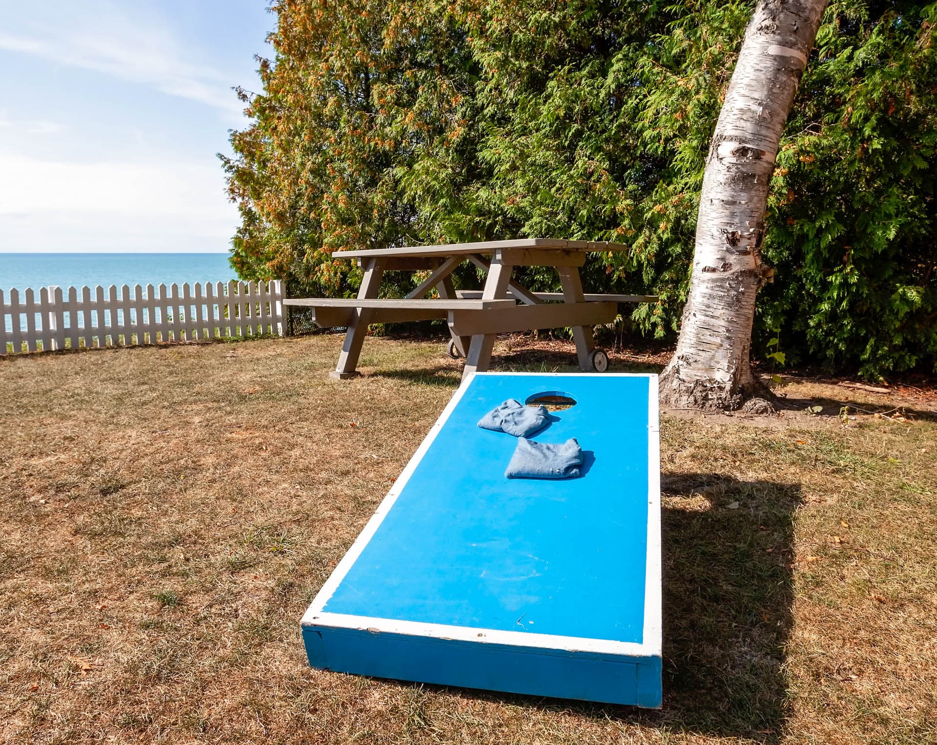 Challenge the family to bean bag toss