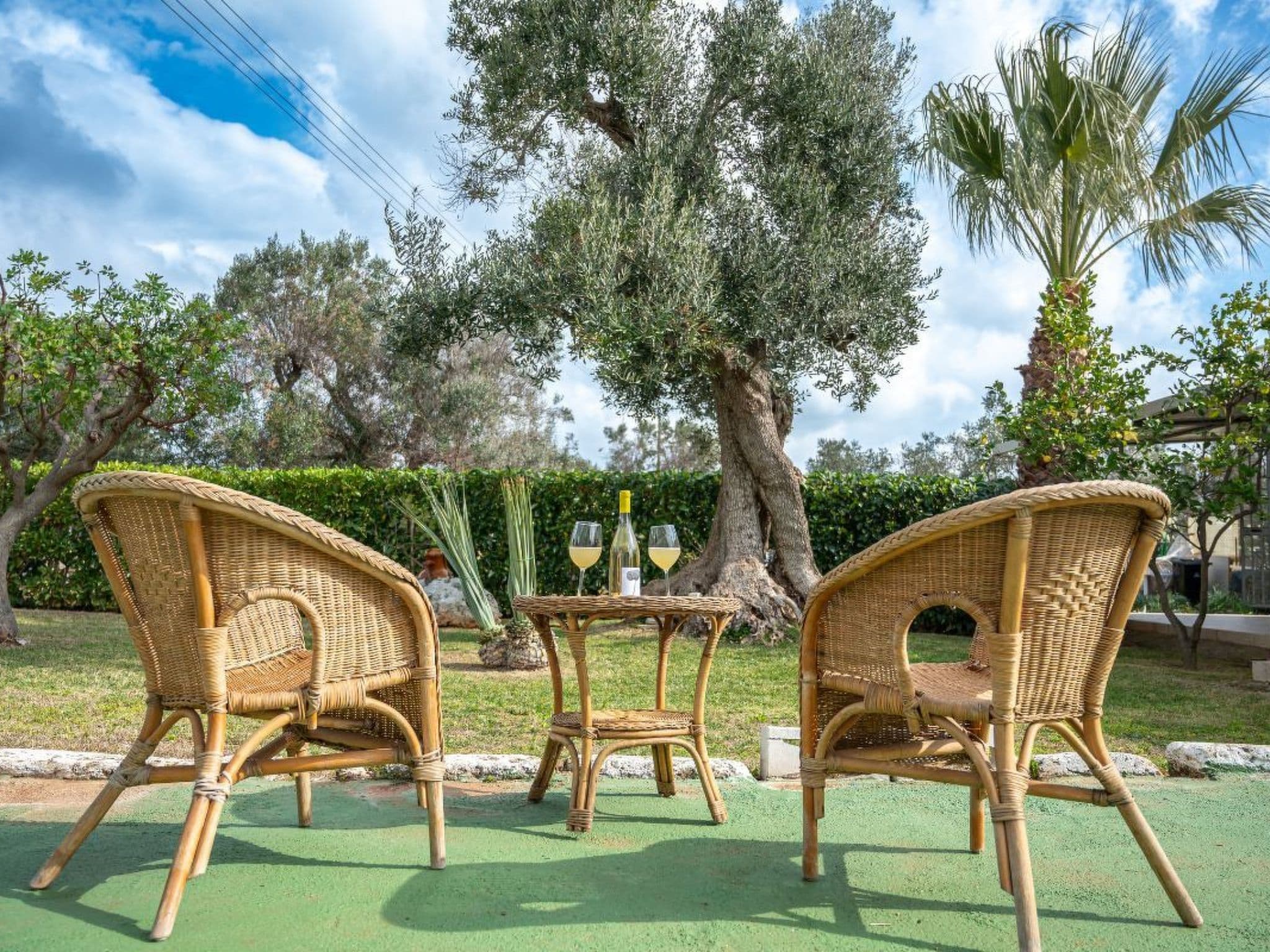 Terrace
