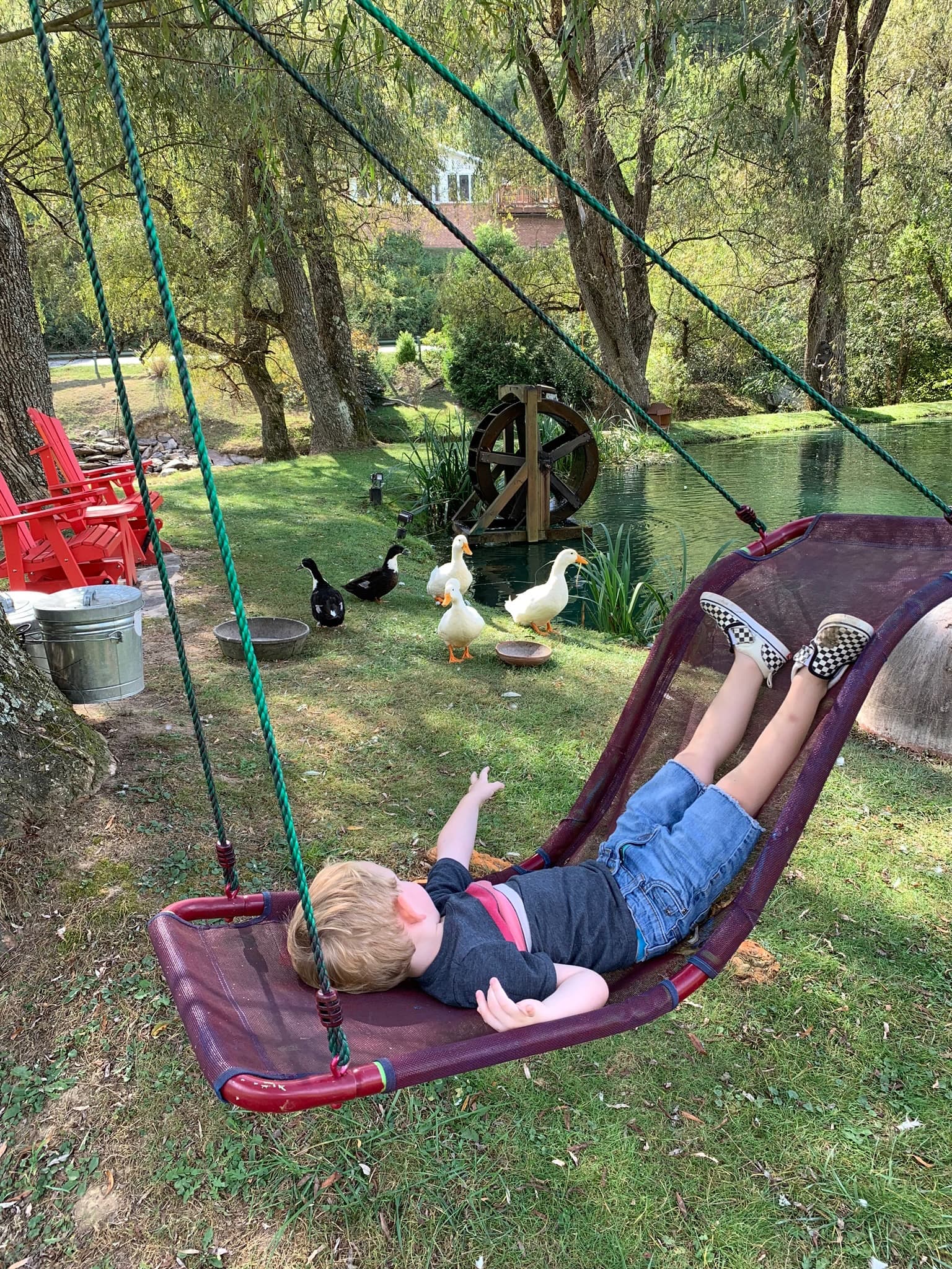 IMG 0762