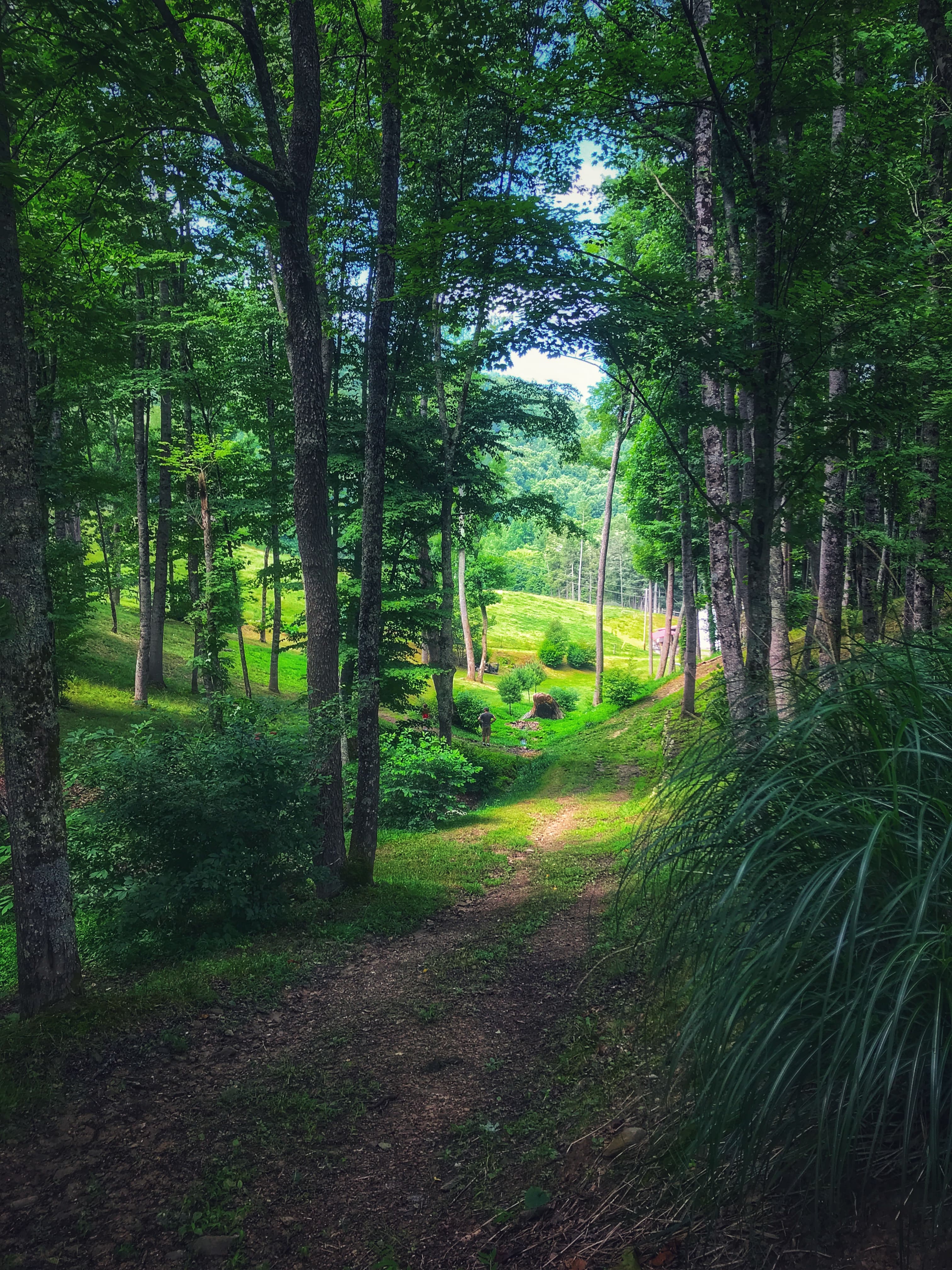 Fullsizeoutput 11947