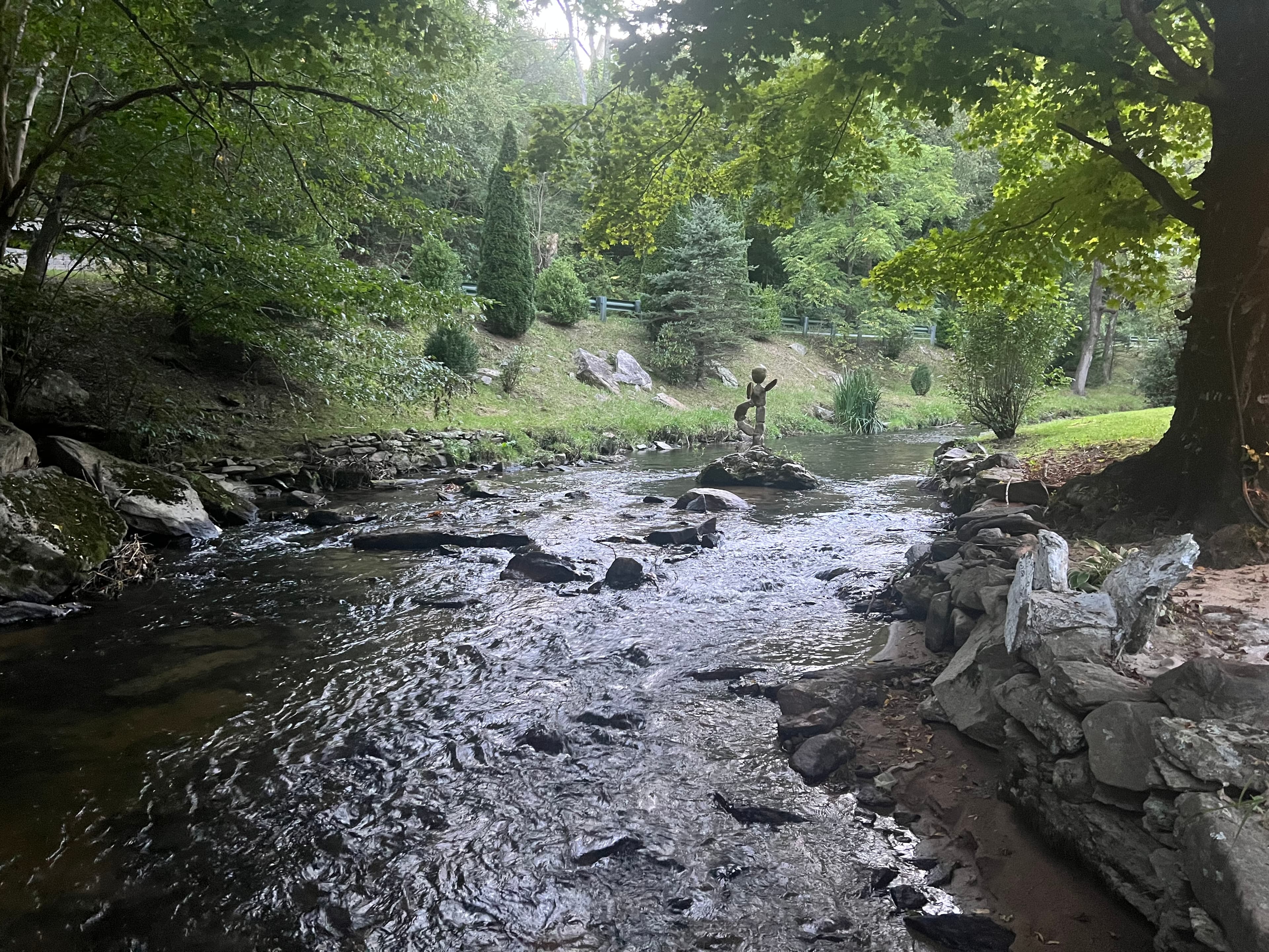 IMG 7339