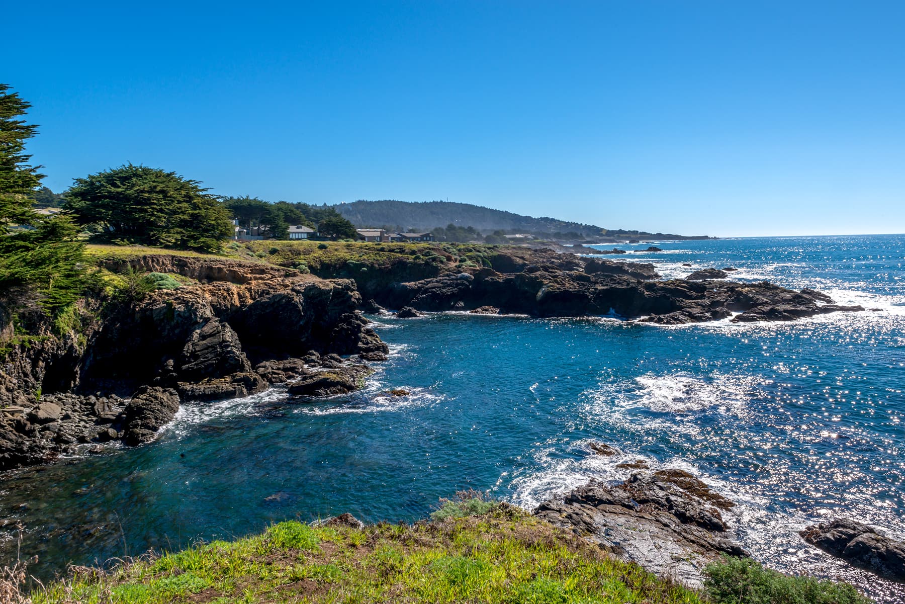 Your backyard opens to a rocky ocean cove where cormorants perch and harbor seals frolic, offering a front-row seat to the wild beauty of the coast.