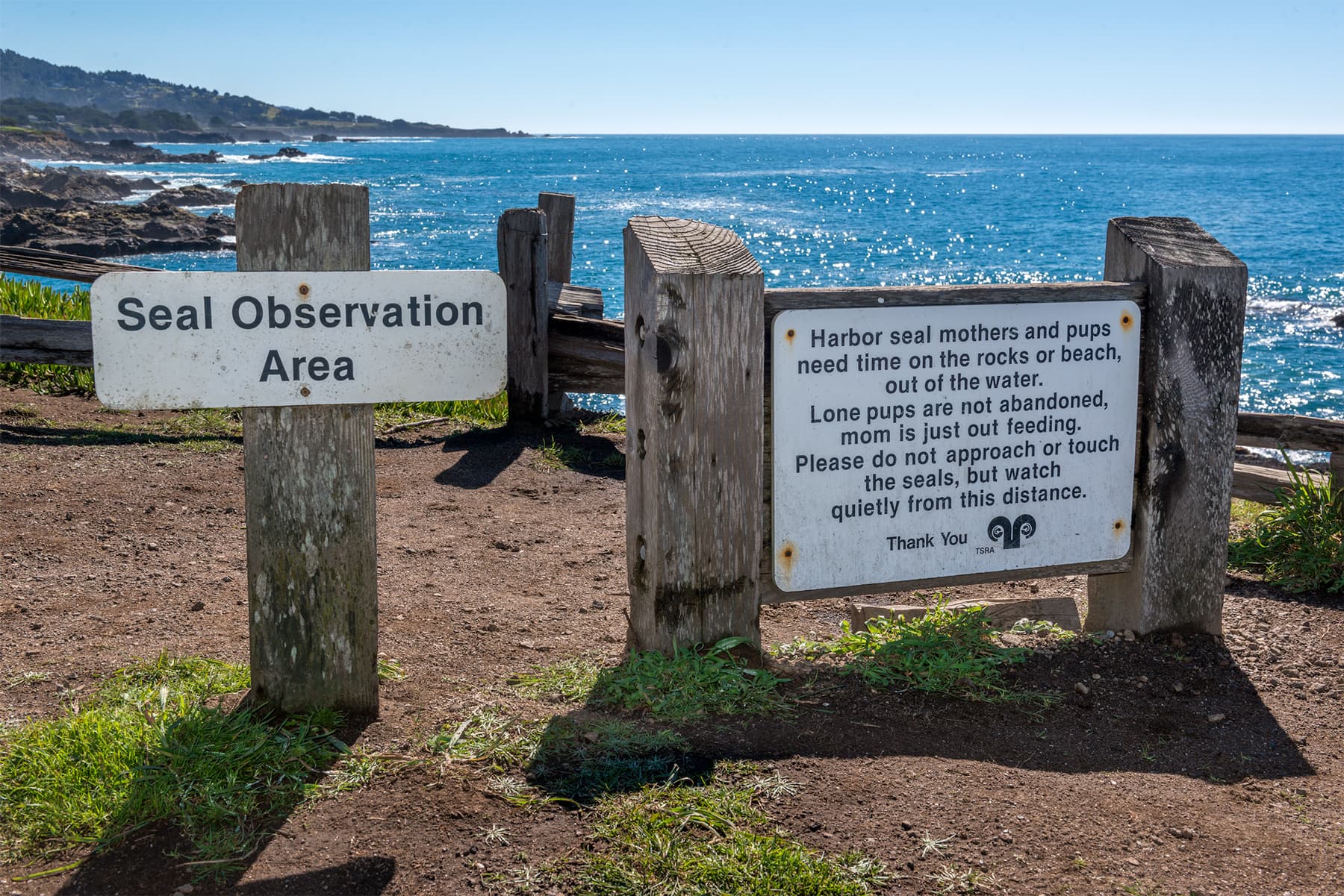 When walking the ocean bluff trail, be sure to pause to greet the harbor seals basking in the sun just a few yards away from your back door.
