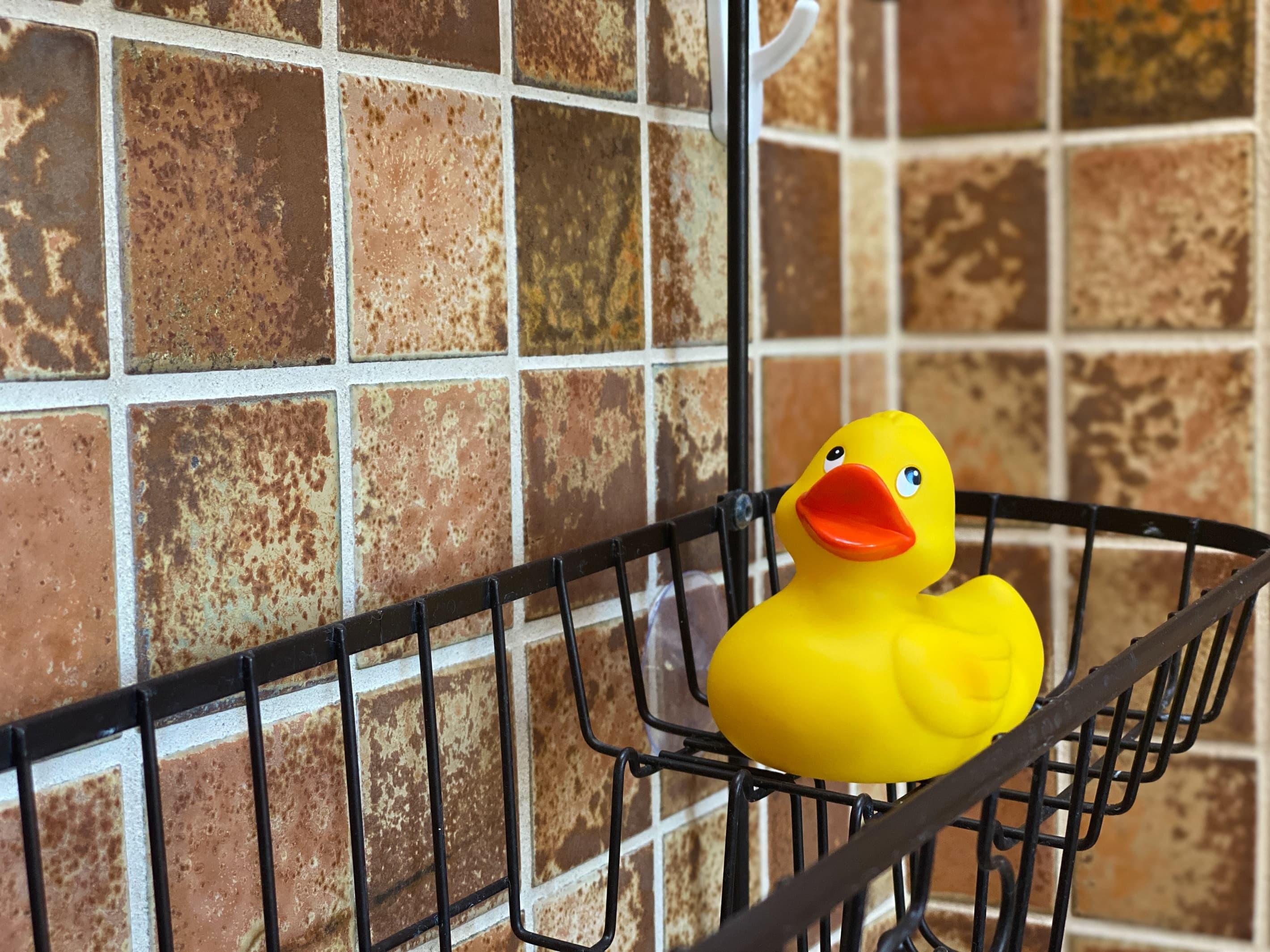Hall Bath Bathtub Buddy