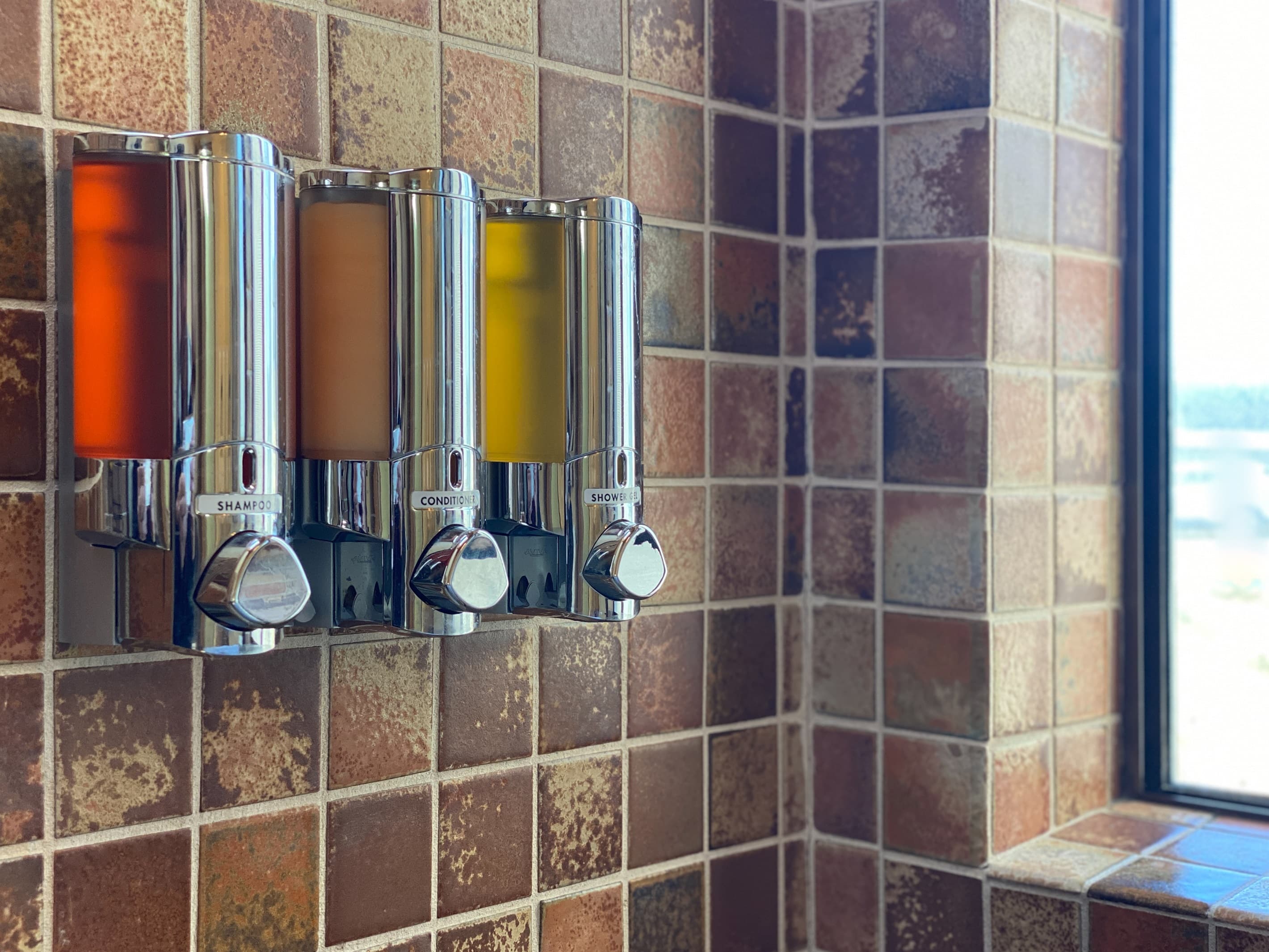 Paya Shampoo, Rinse, Shower Gel
