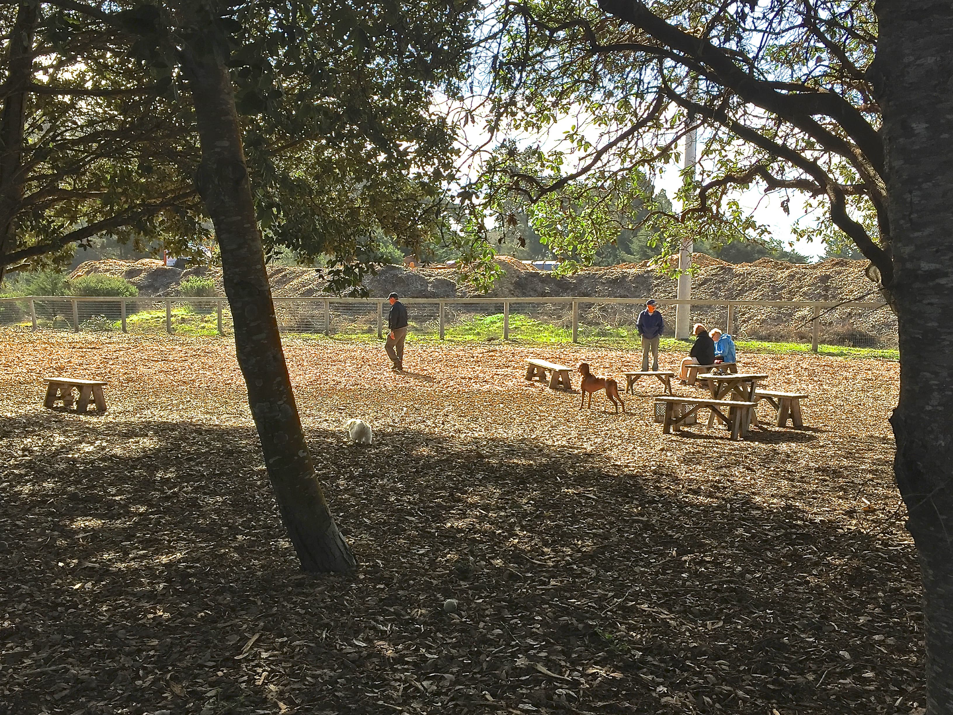 Off leash dog park available for guests