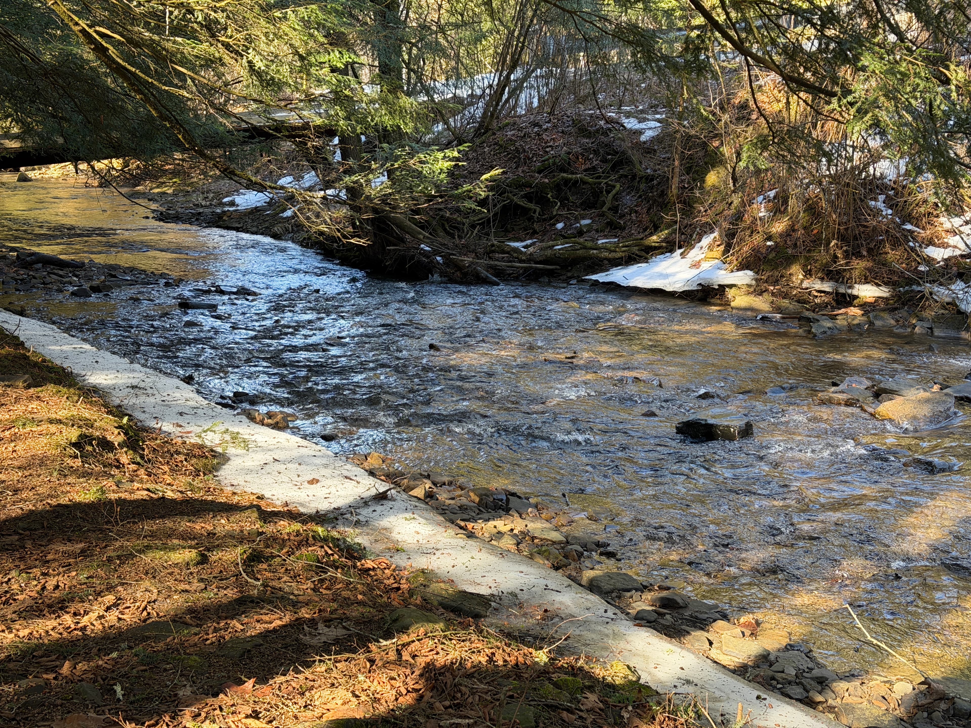 Creek access and plenty of fun all day! 