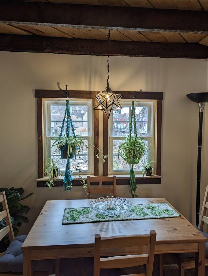 The house plants are lovingly tended to provide brightness and freshness 