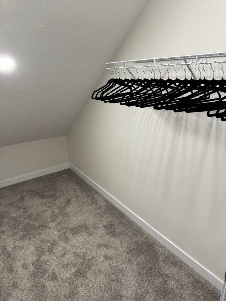 Large walk-in closet 