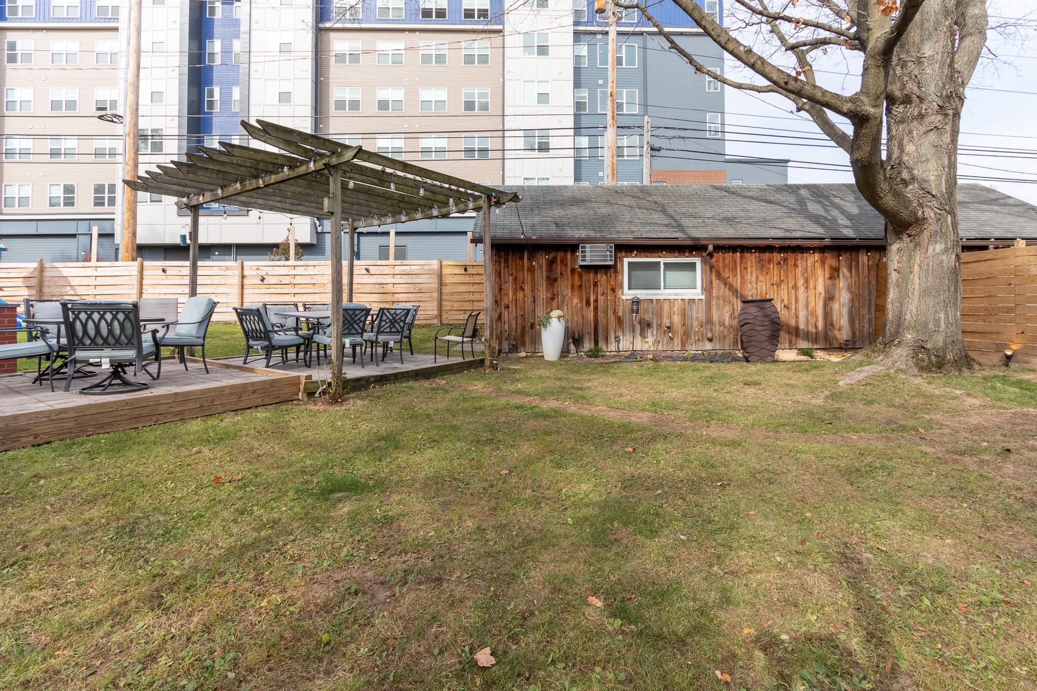 Backyard 3
