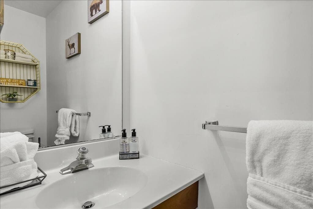 Here is the other bathroom with a vanity and toilet