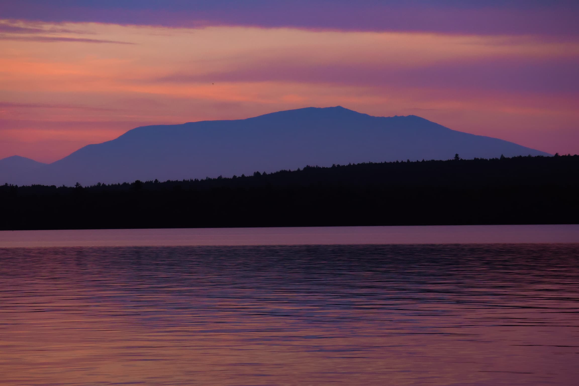 Evening Light