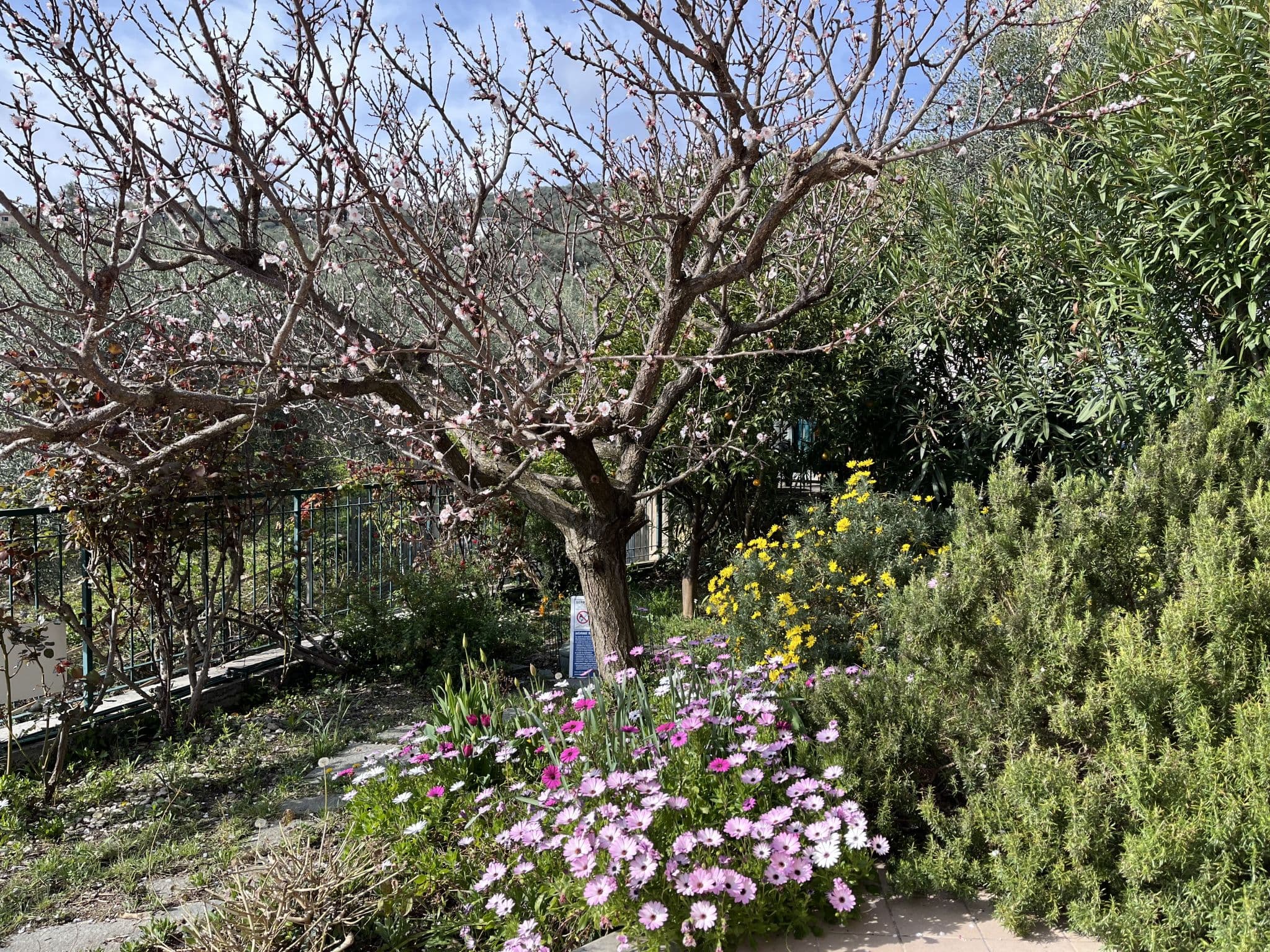 Outdoor