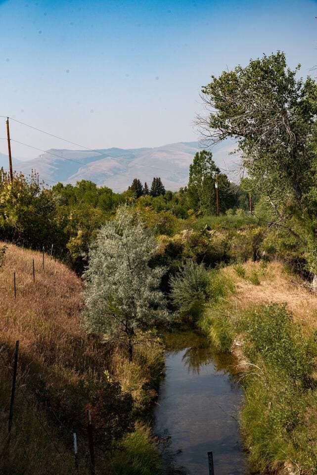 At the back of the property, you'll find an aspen grove and a creek flowing through