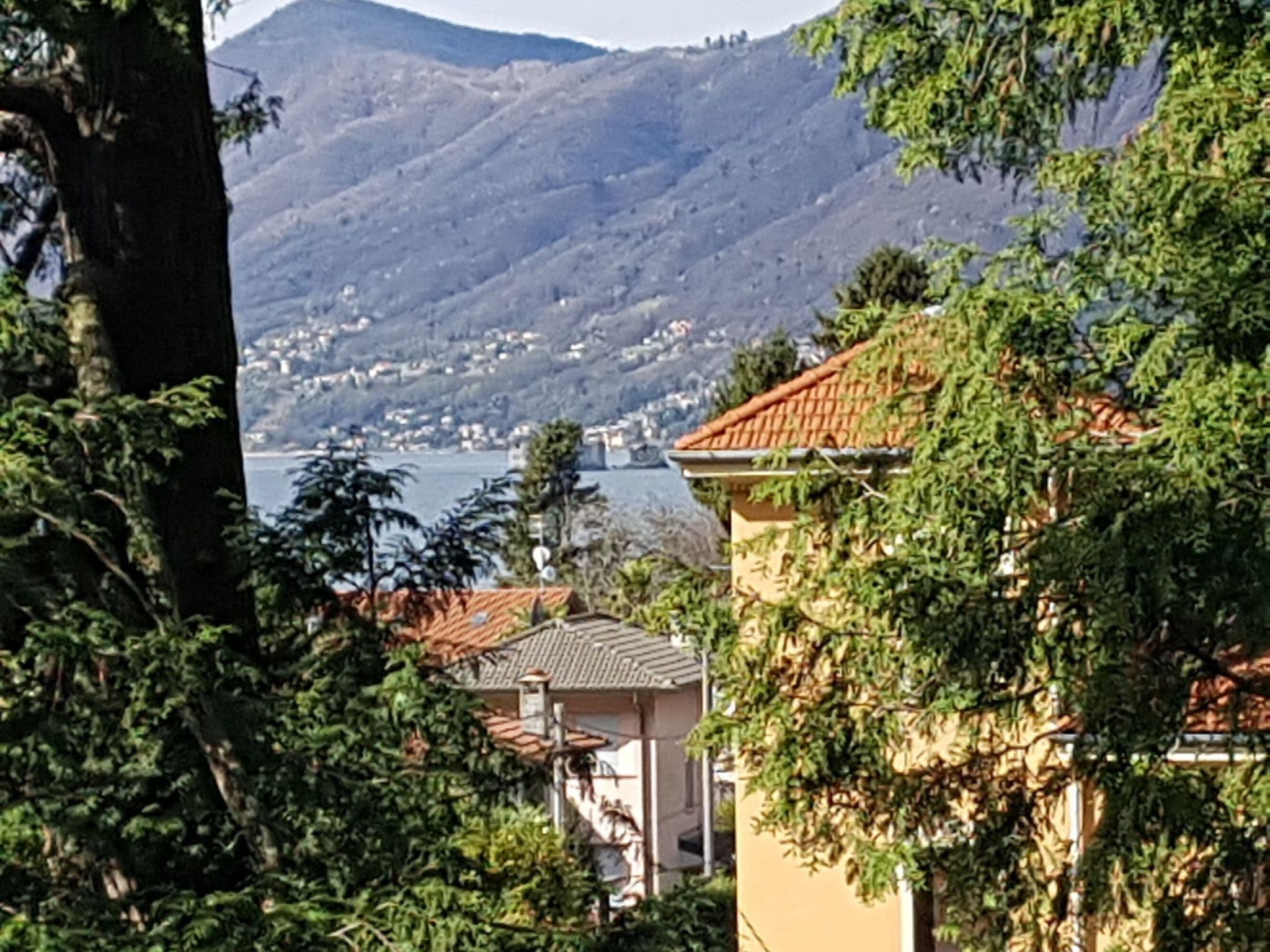 Gallery Image 17