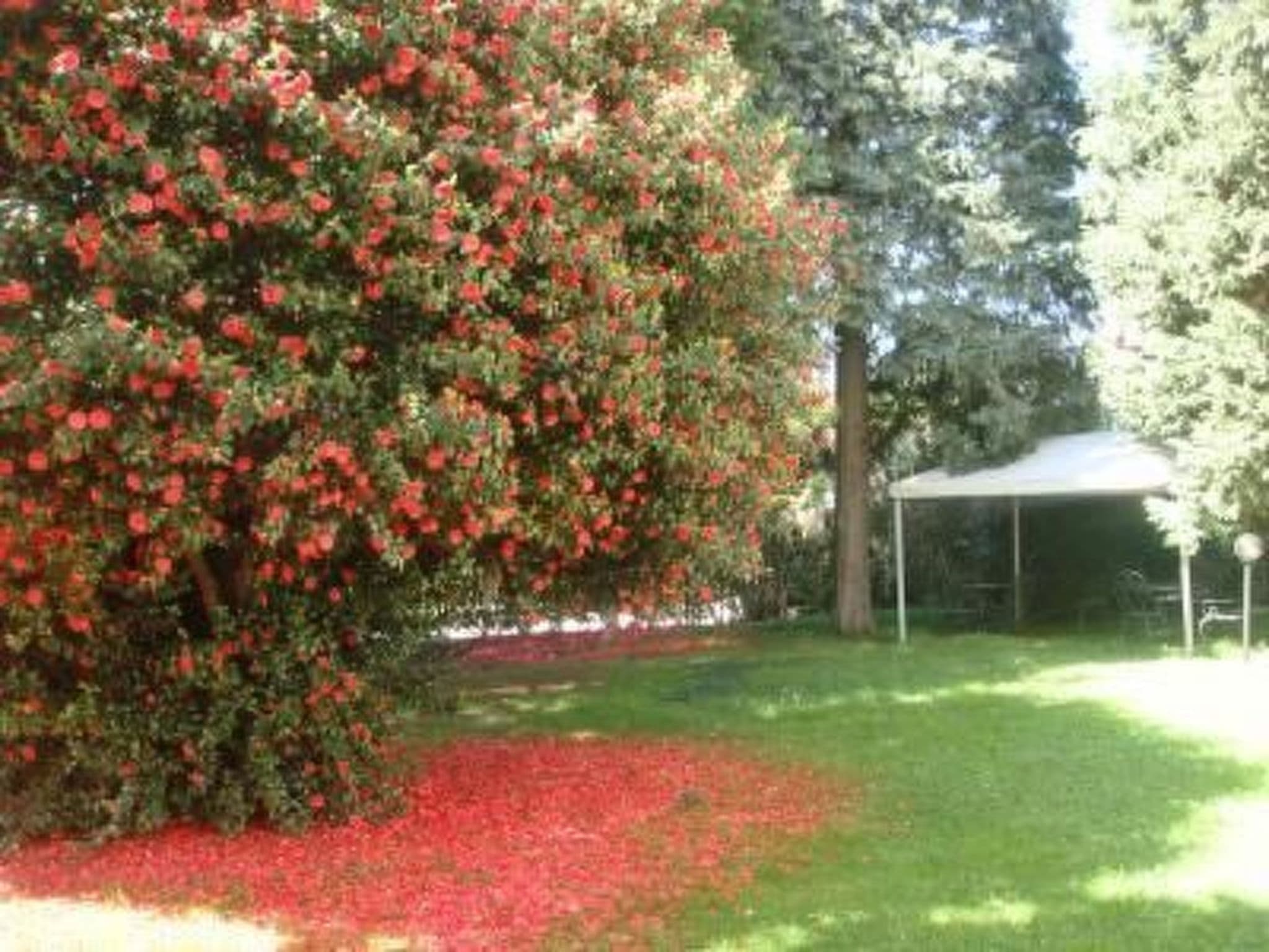 Gallery Image 35