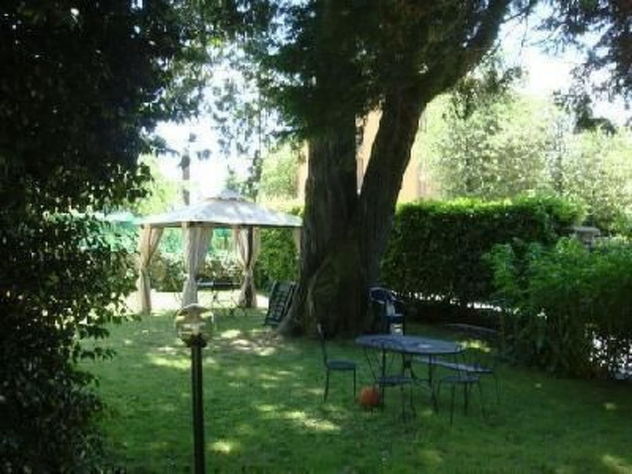 Gallery Image 36