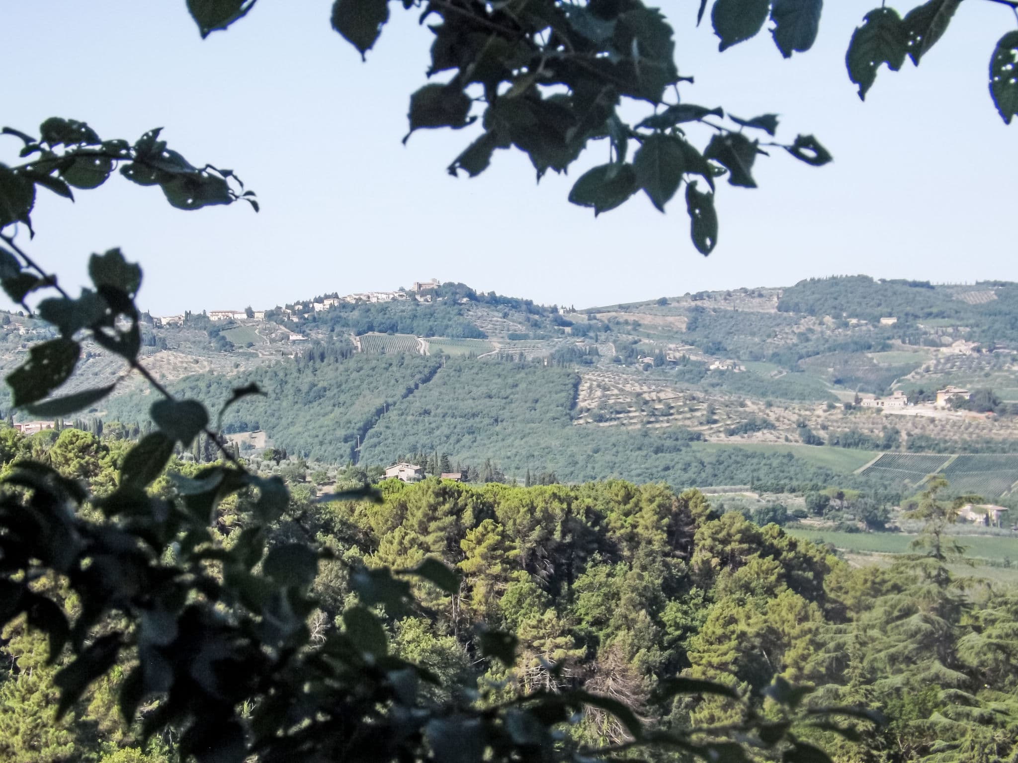 View