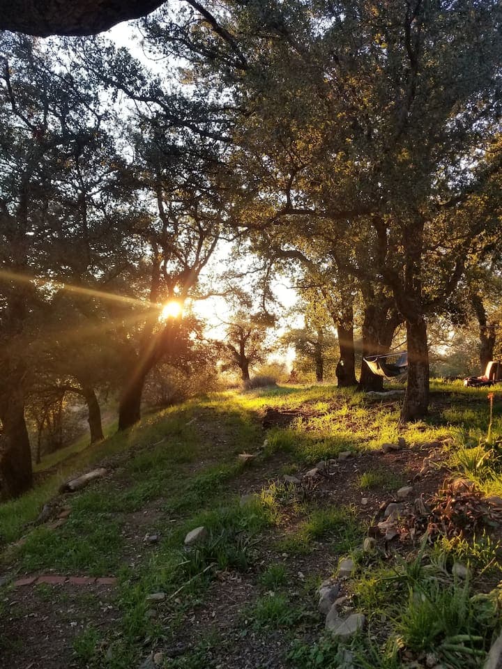 Late afternoon is always a beautiful time up on the mountain 