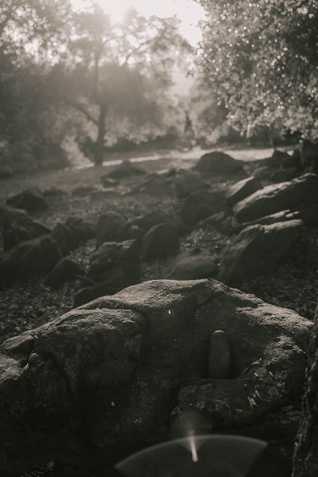 Gallery Image 29