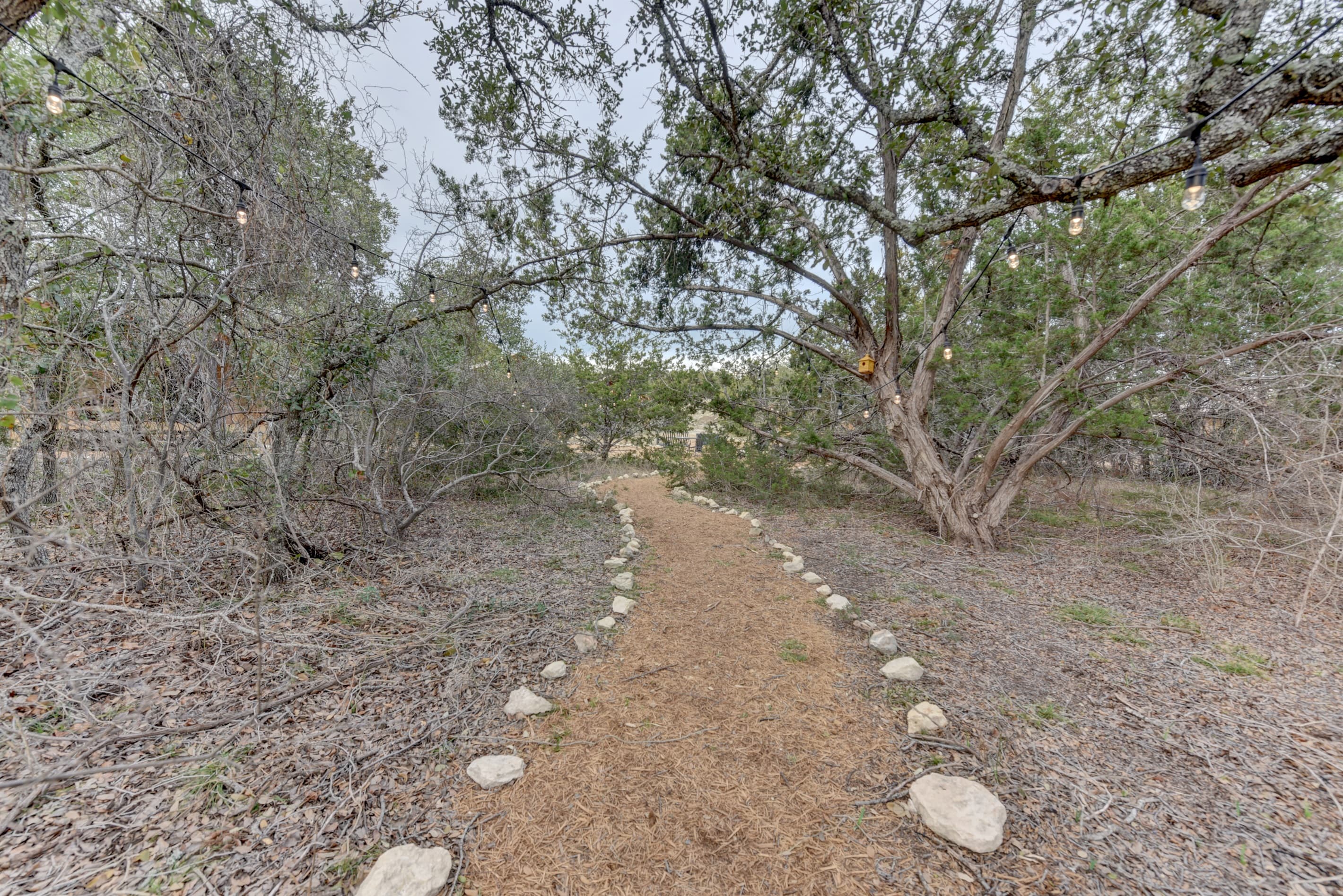 Walkway to Glamping Tents