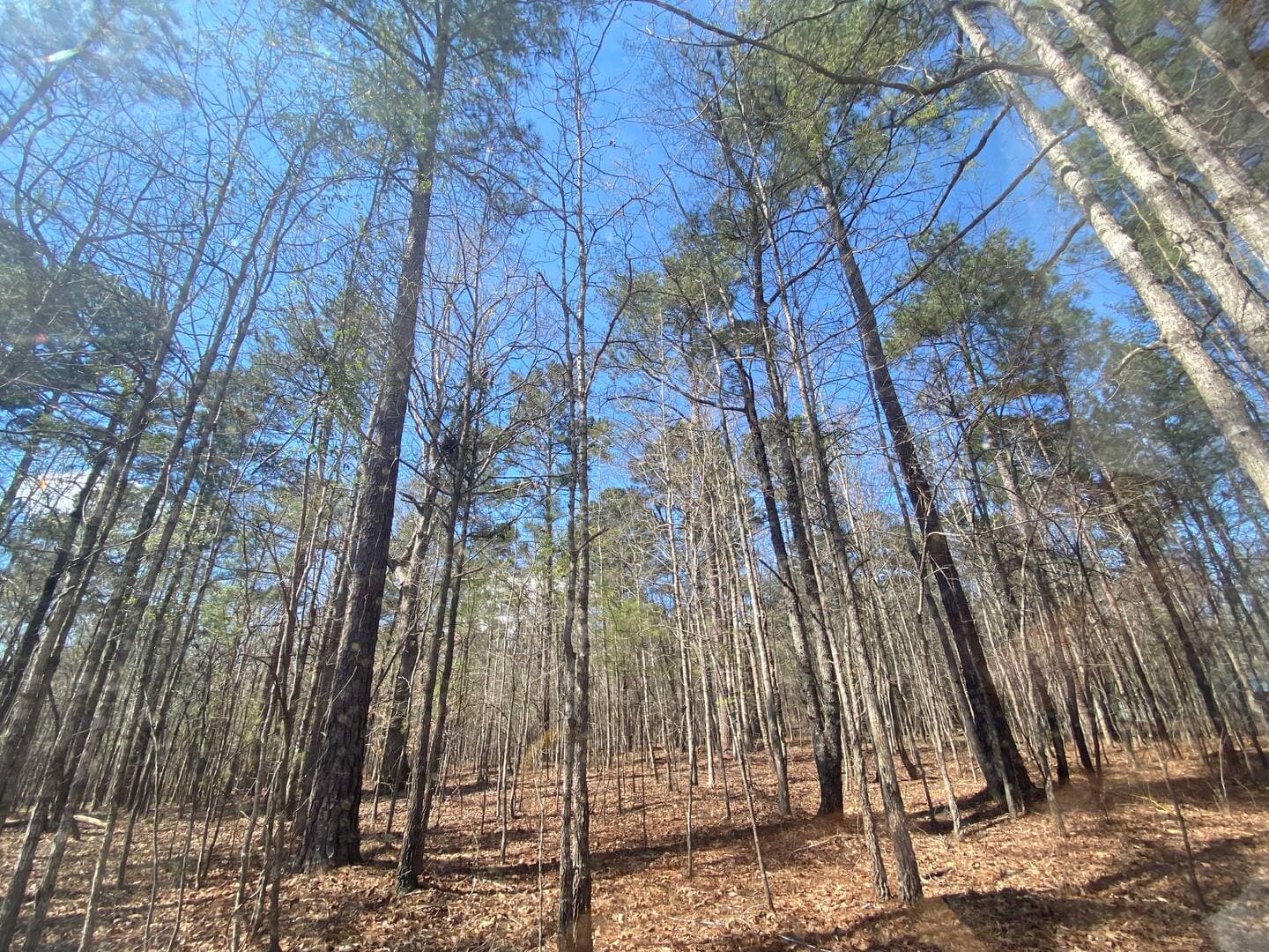 Gallery Image 12